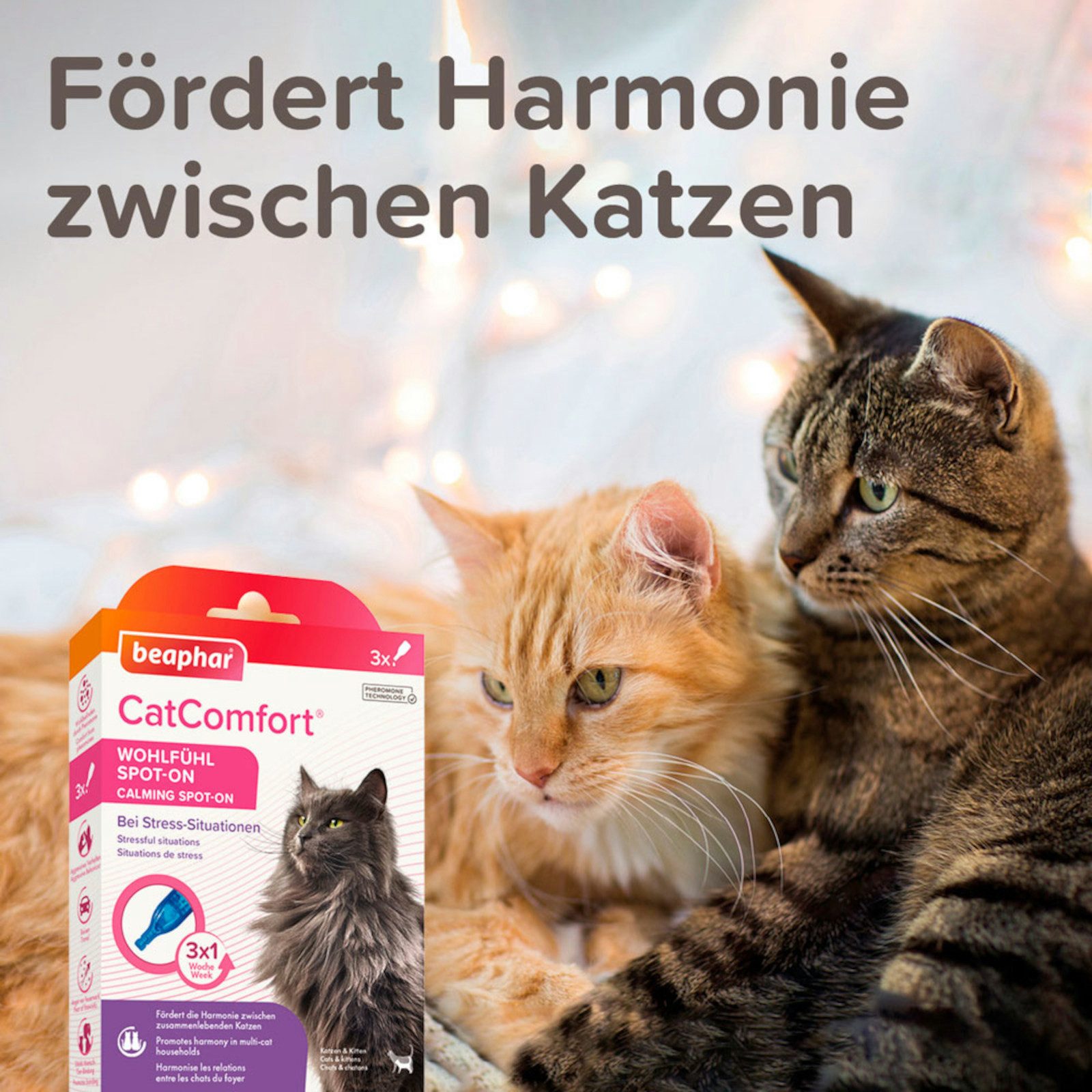 beaphar Tier-Beruhigungspheromone CatComfort Wohlfühl Spot-On für Katzen, 3x 0,55 ml