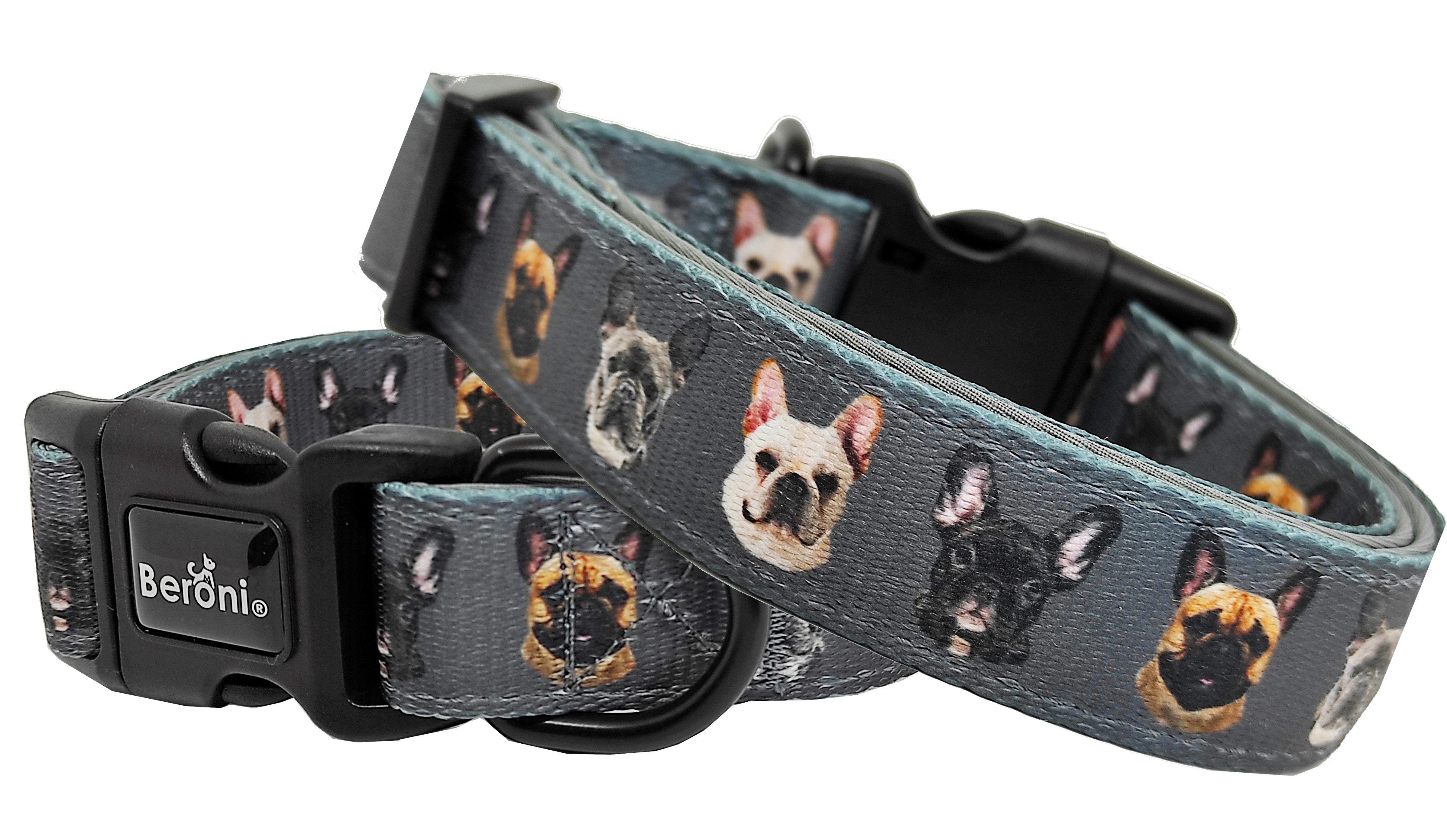 Hunde-Halsband Französische Bulldogge Halsband gepolstert verstellbar grau