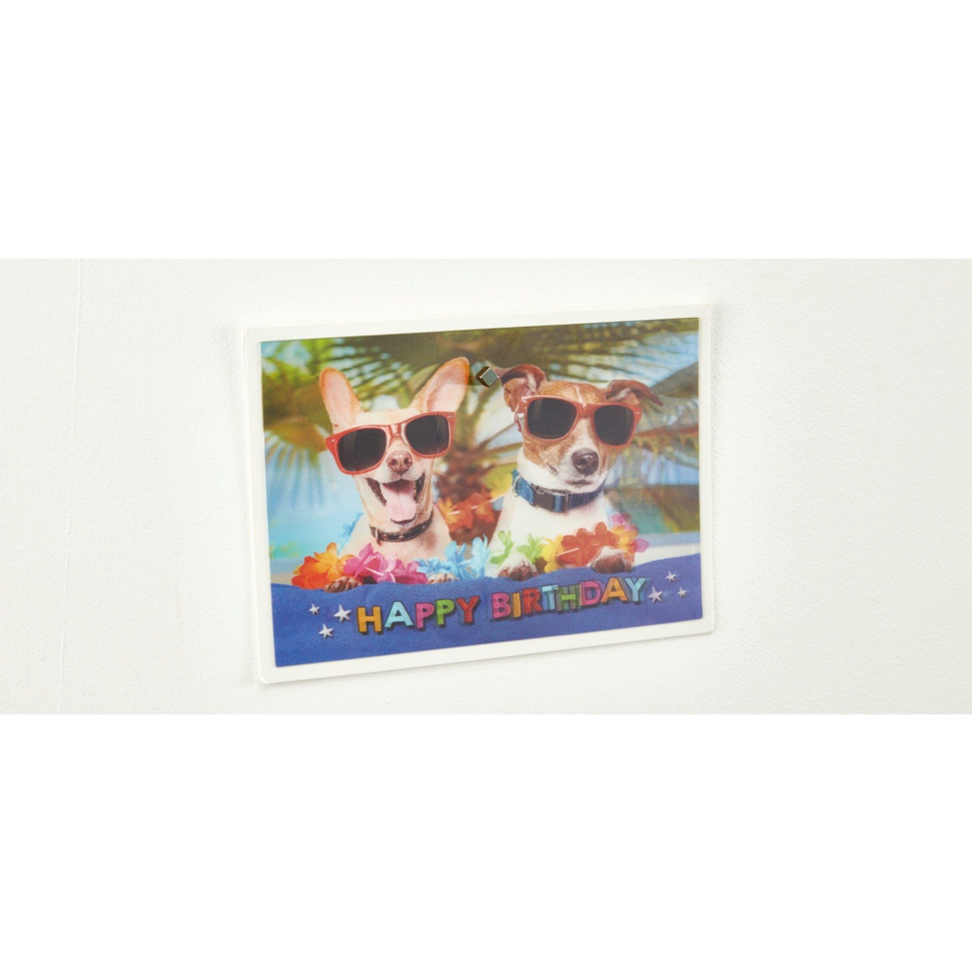 Fischer Bauschraube fischer GOW Magnetkralle, (4 Stück)