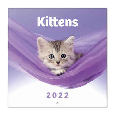 empireposter Wandkalender »Kittens - Kalender 2022 - 16 Monate ab September 2021 - Format 30x30 cm«