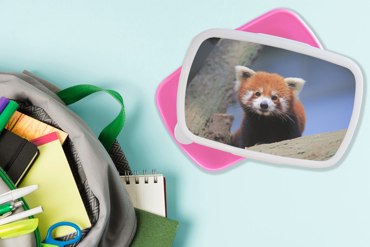 MuchoWow Lunchbox Roter Erwachsene, Snackbox, Kinder, Baum, (2-tlg), - rosa - Orange Brotbox Kunststoff Panda Brotdose Mädchen, für Kunststoff