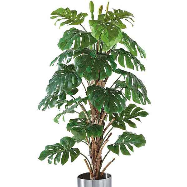Kunstpflanze »Philo-Baum«, Schneider, Höhe 180 cm