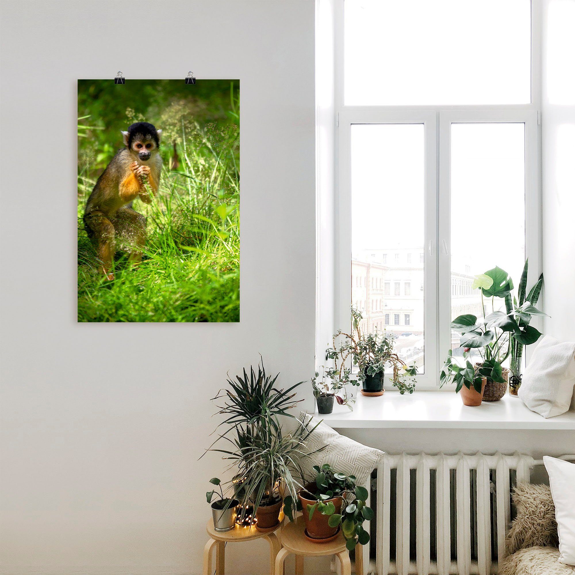 im Poster oder Totenkopfäffchen in (1 Größen Affenbilder Wandbild Artland hohen Wandaufkleber Leinwandbild, versch. Gras, als St), Alubild,