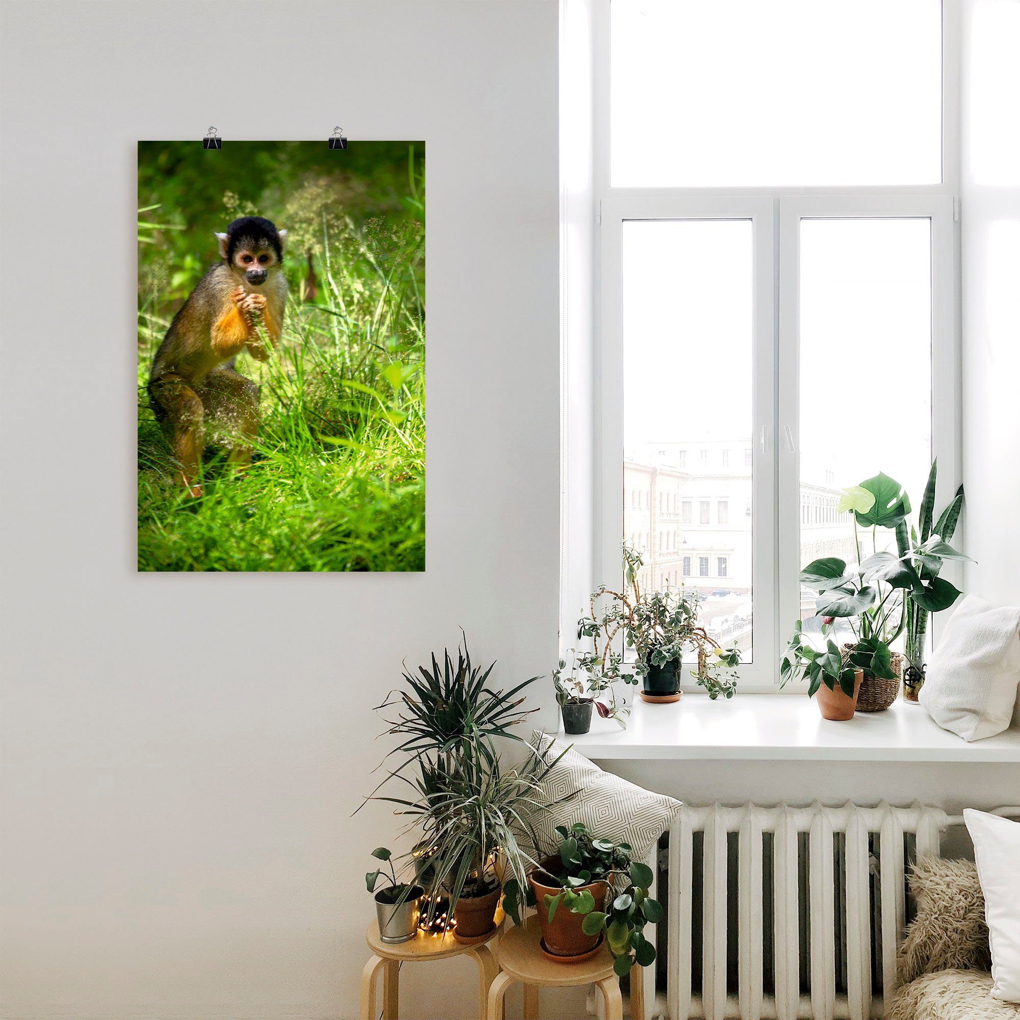 Artland Wandbild »Totenkopfäffchen im hohen Gras«, Affenbilder (1 Stück), in vielen Größen & Produktarten - Alubild / Outdoorbild für den Außenbereich, Leinwandbild, Poster, Wandaufkleber / Wandtattoo auch für Badezimmer geeignet-kaufen