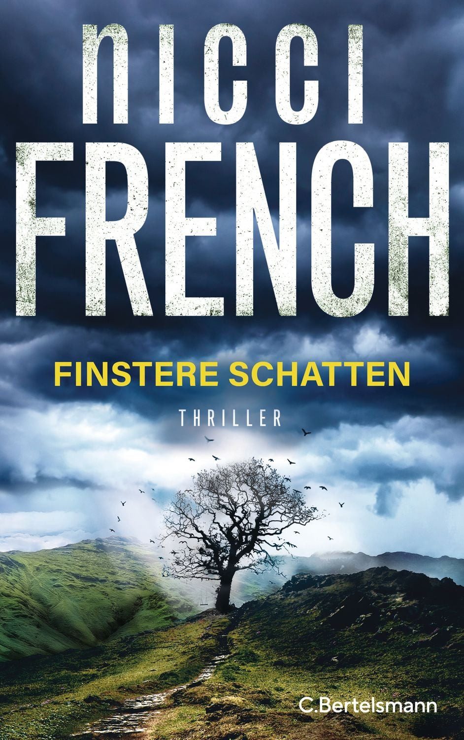 Finstere Schatten / Nicci French