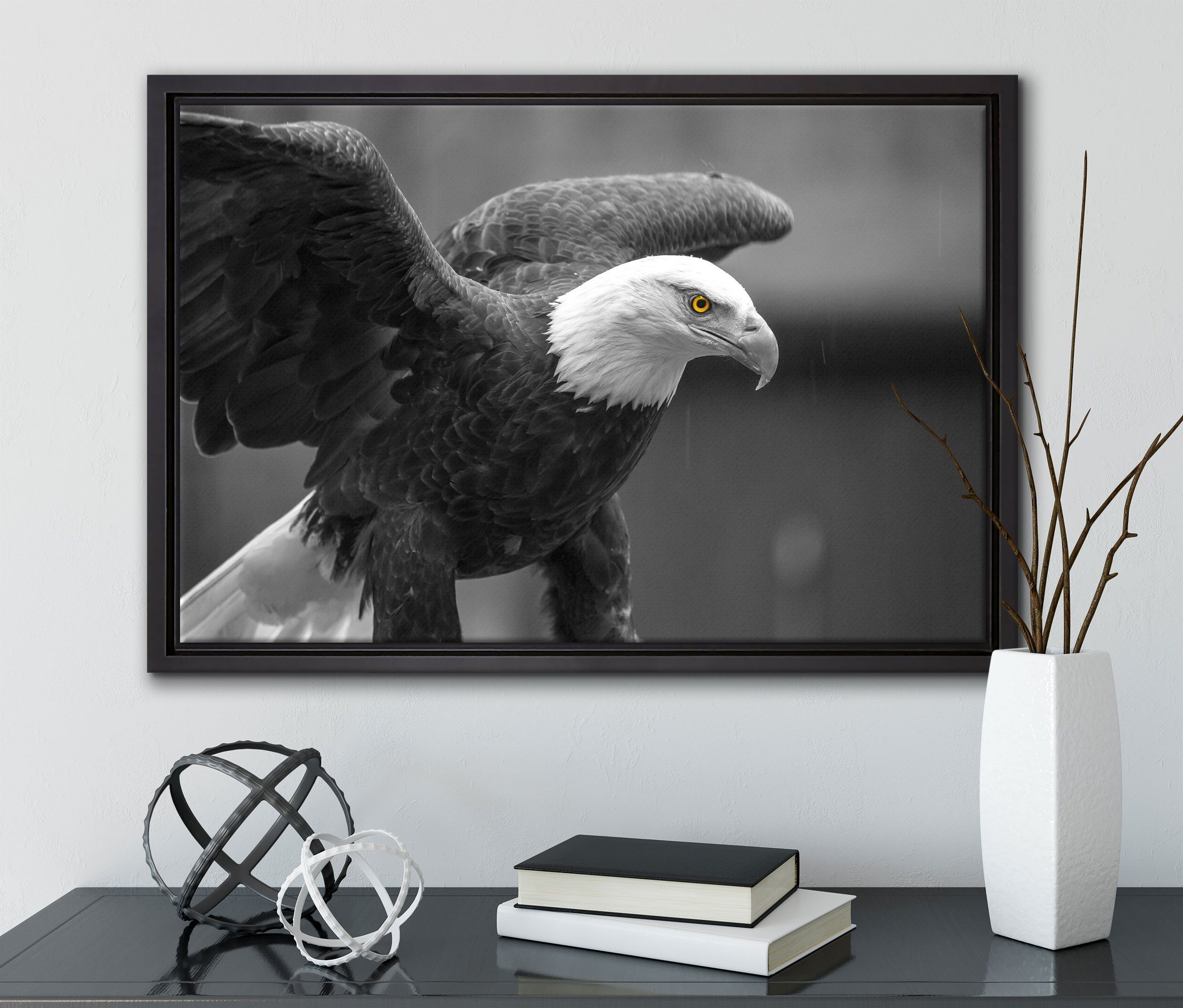 bespannt, einem Schattenfugen-Bilderrahmen Weißkopfseeadler, St), Leinwandbild gefasst, inkl. Wanddekoration schöner Leinwandbild (1 Zackenaufhänger in Pixxprint fertig