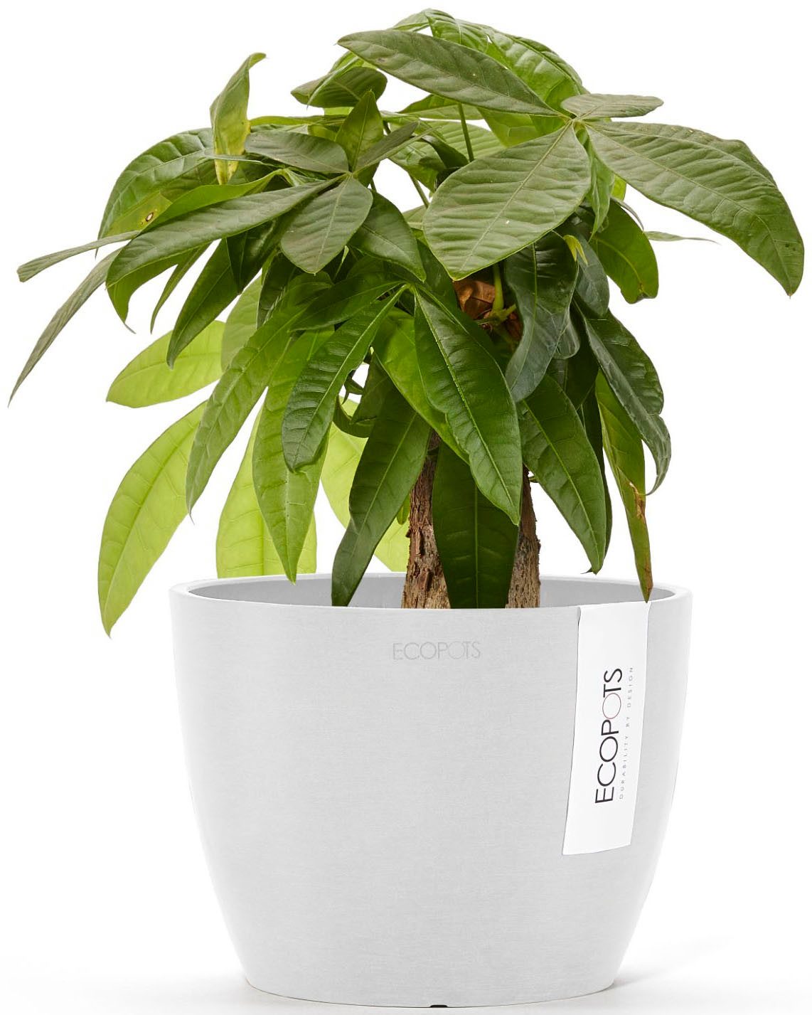 ECOPOTS Blumentopf Stockholm Mini 16 Weiß, für innen und außen: frostsicher günstig online kaufen