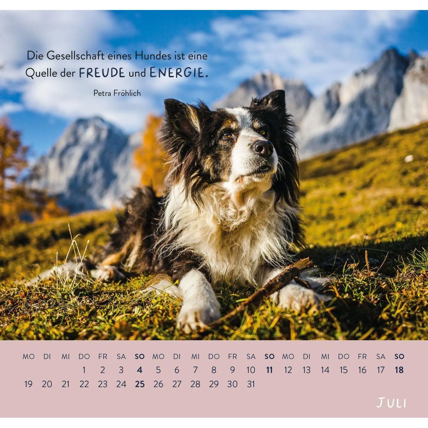 groh Verlag Wandkalender Wandkalender 2027: Für Hundefreunde