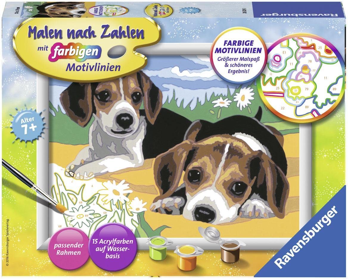 Ravensburger Malen nach Zahlen Jack Russel Welpen, Made in Europe