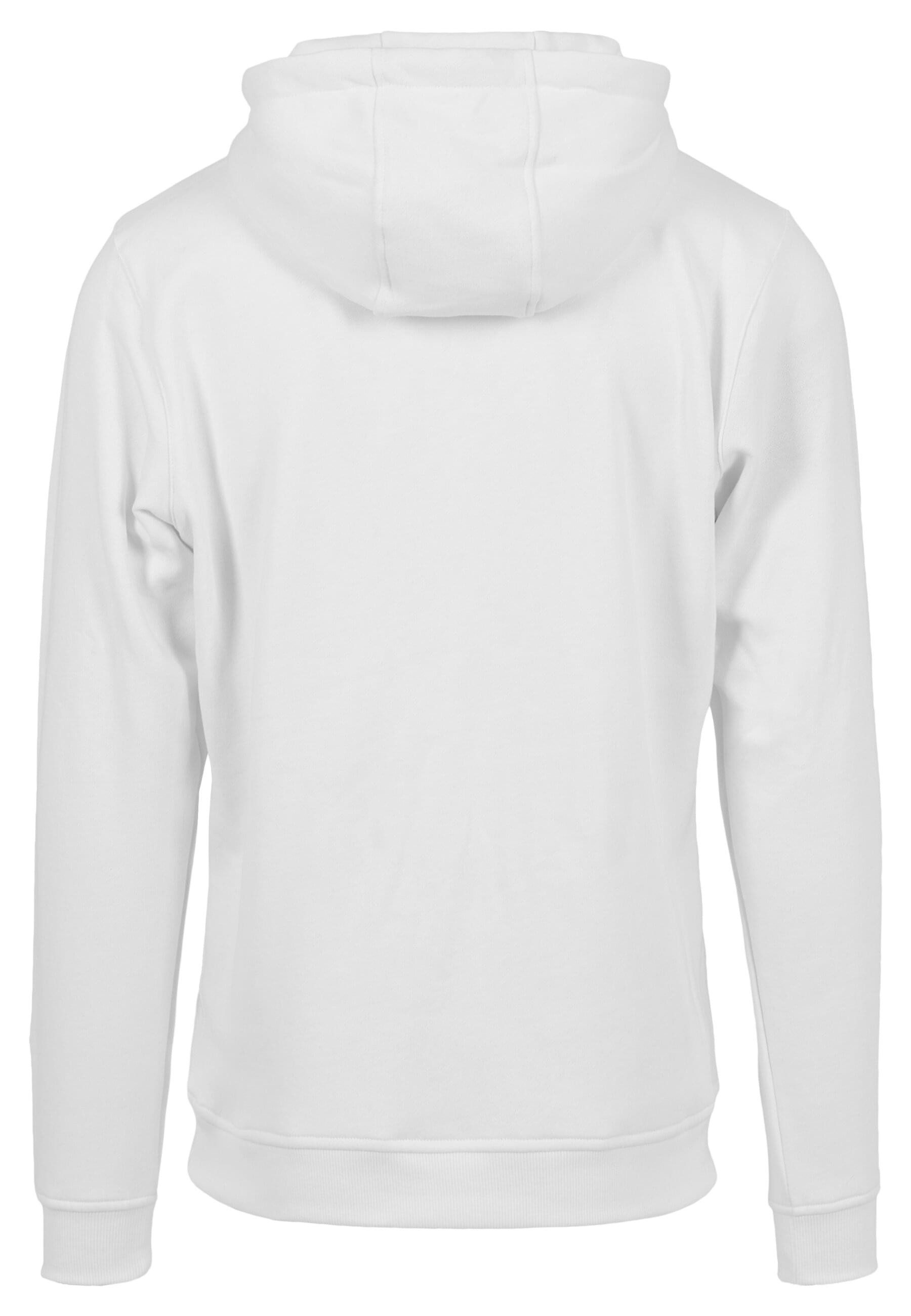 MisterTee Hoodie MisterTee Herren NASA Hoody günstig online kaufen