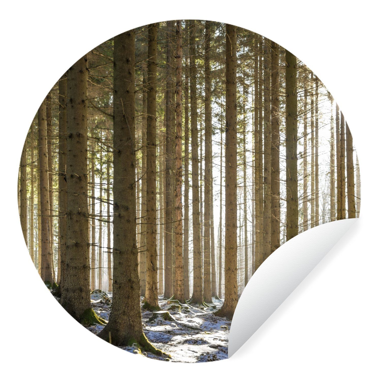 MuchoWow Wandsticker Ein Wald mit Baumstämmen in einer Winterlandschaft (1 St), Tapetenkreis für Kinderzimmer, Tapetenaufkleber, Rund, Wohnzimmer
