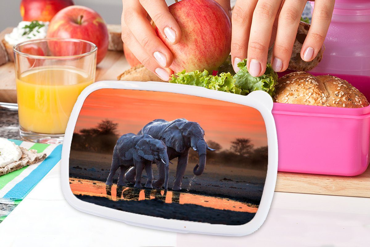 Elefant Tiere Erwachsene, rosa Snackbox, Kunststoff, Orange, Brotbox - Lunchbox Mädchen, Sonnenuntergang Kinder, (2-tlg), - MuchoWow - Kunststoff - Brotdose für Wasser