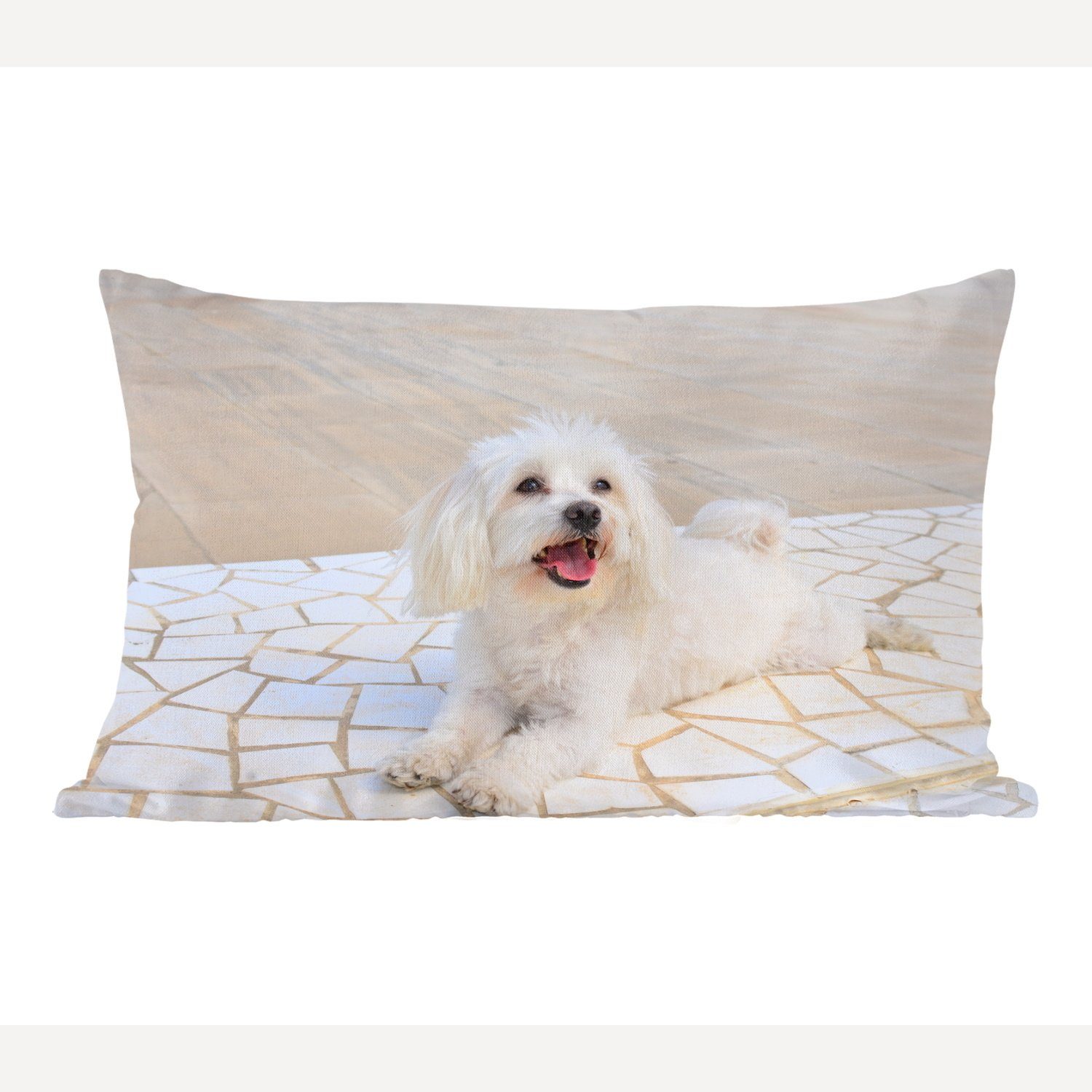 MuchoWow Dekokissen Ein Malteser Hund liegt auf einem Weg, Wohzimmer Dekoration, Zierkissen, Dekokissen mit Füllung, Schlafzimmer