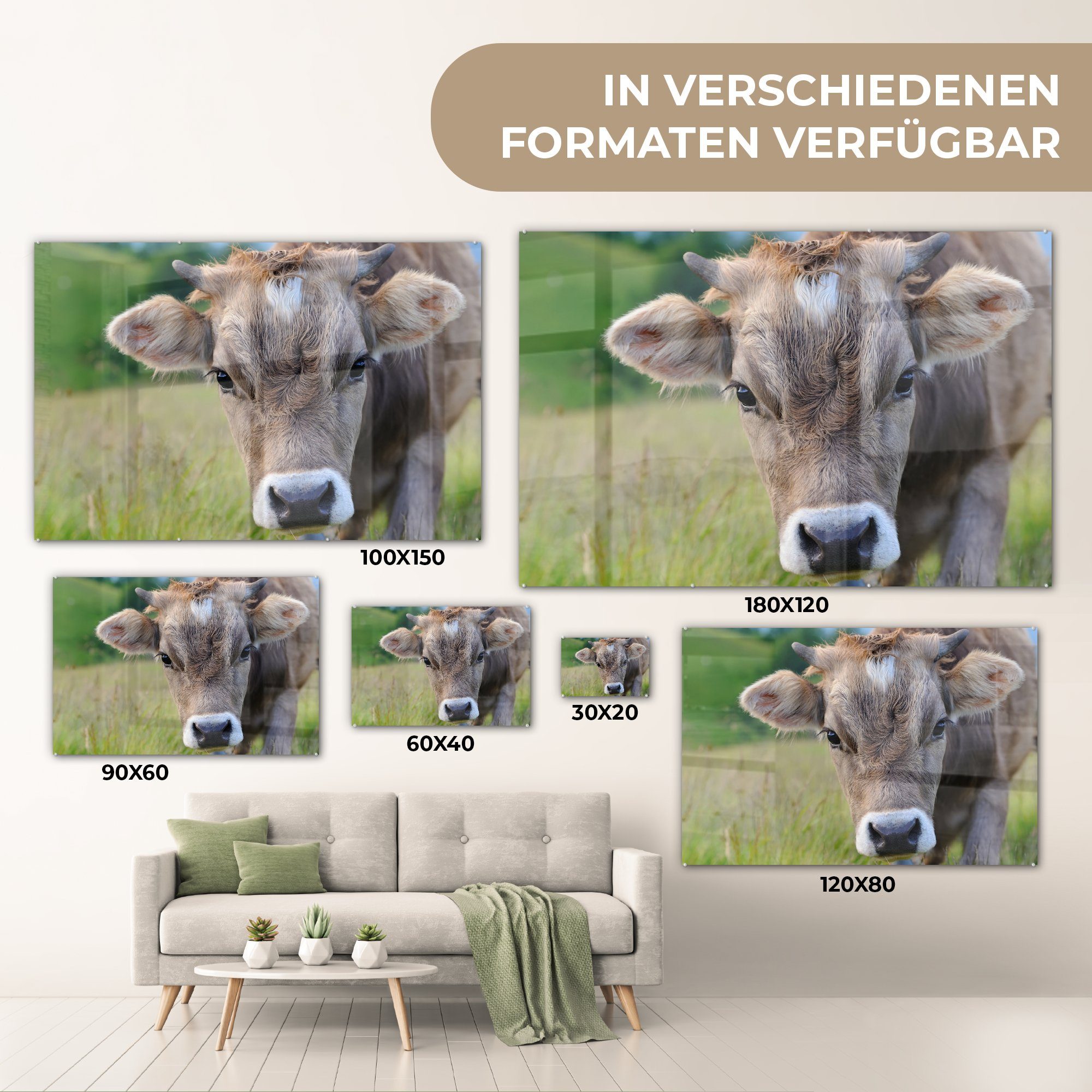 MuchoWow Acrylglasbild Kuh Horn & Landschaft, Schlafzimmer Wohnzimmer Acrylglasbilder St), - (1 