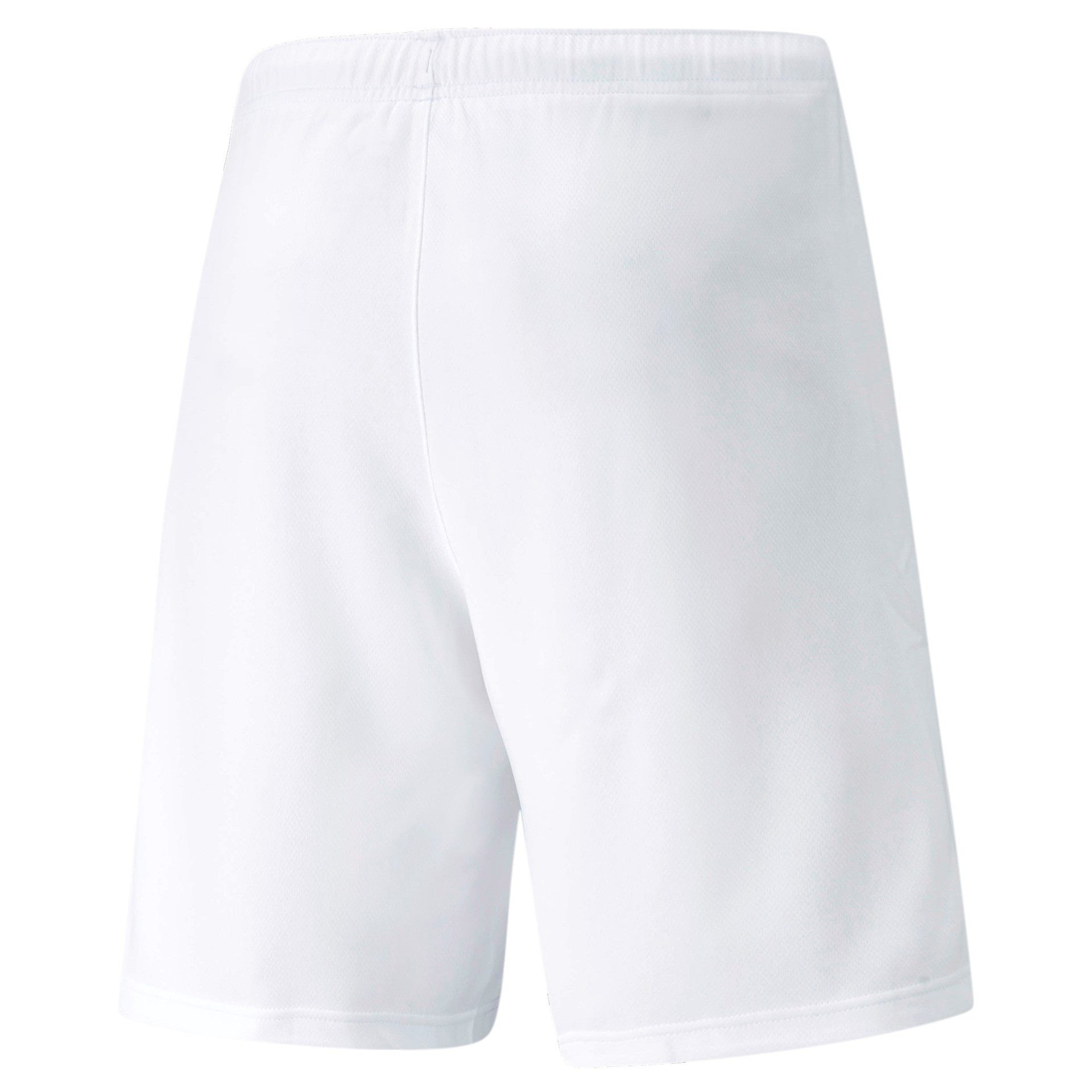 PUMA Trainingsshorts Puma Herren Shorts teamRISE Short 704942