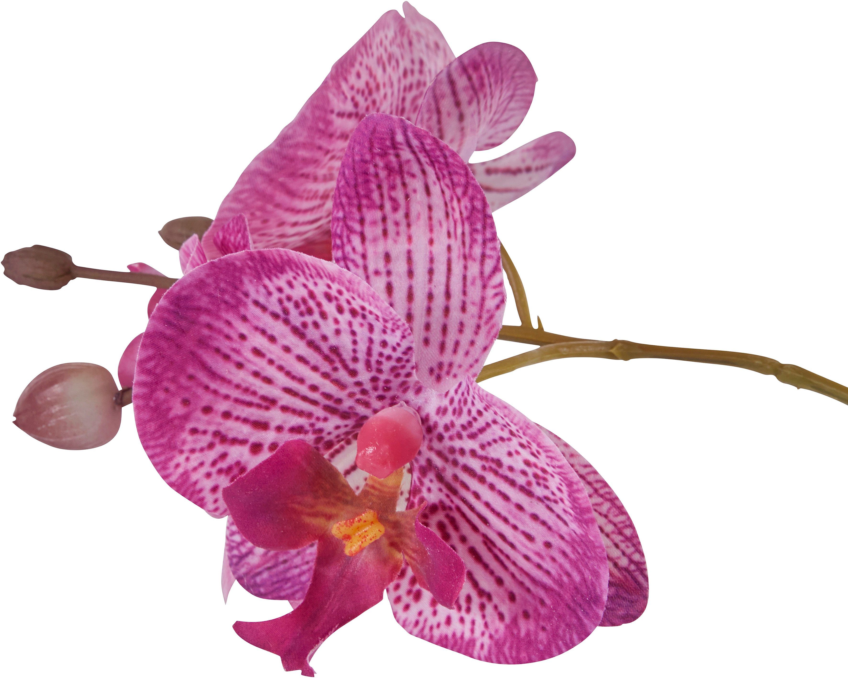 Kunstpflanze Orchidee, OTTO home, Höhe 55 cm, Kunstorchidee, im Topf