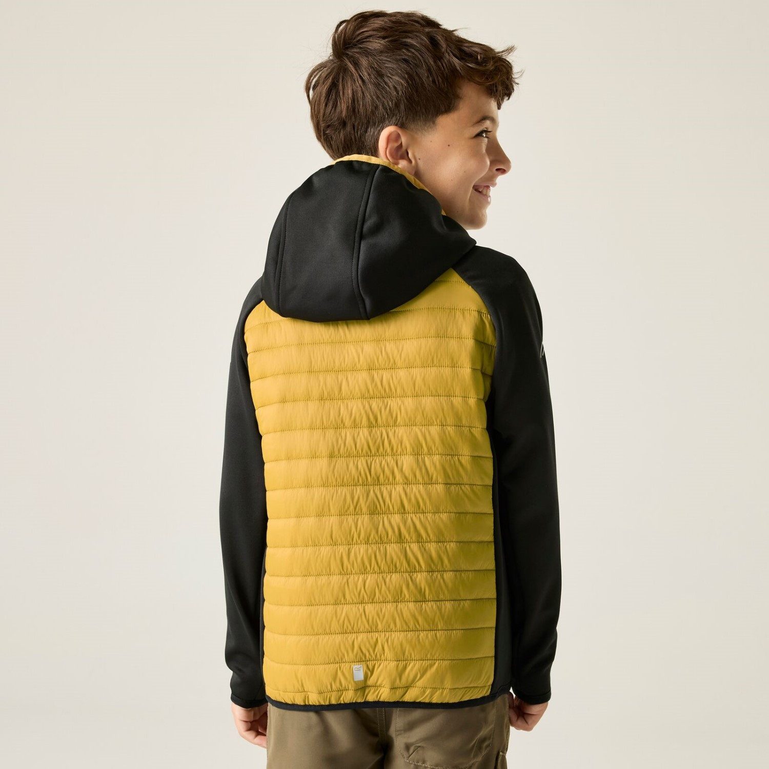 Regatta Softshelljacke Hybrid Softshelljacke Andreson