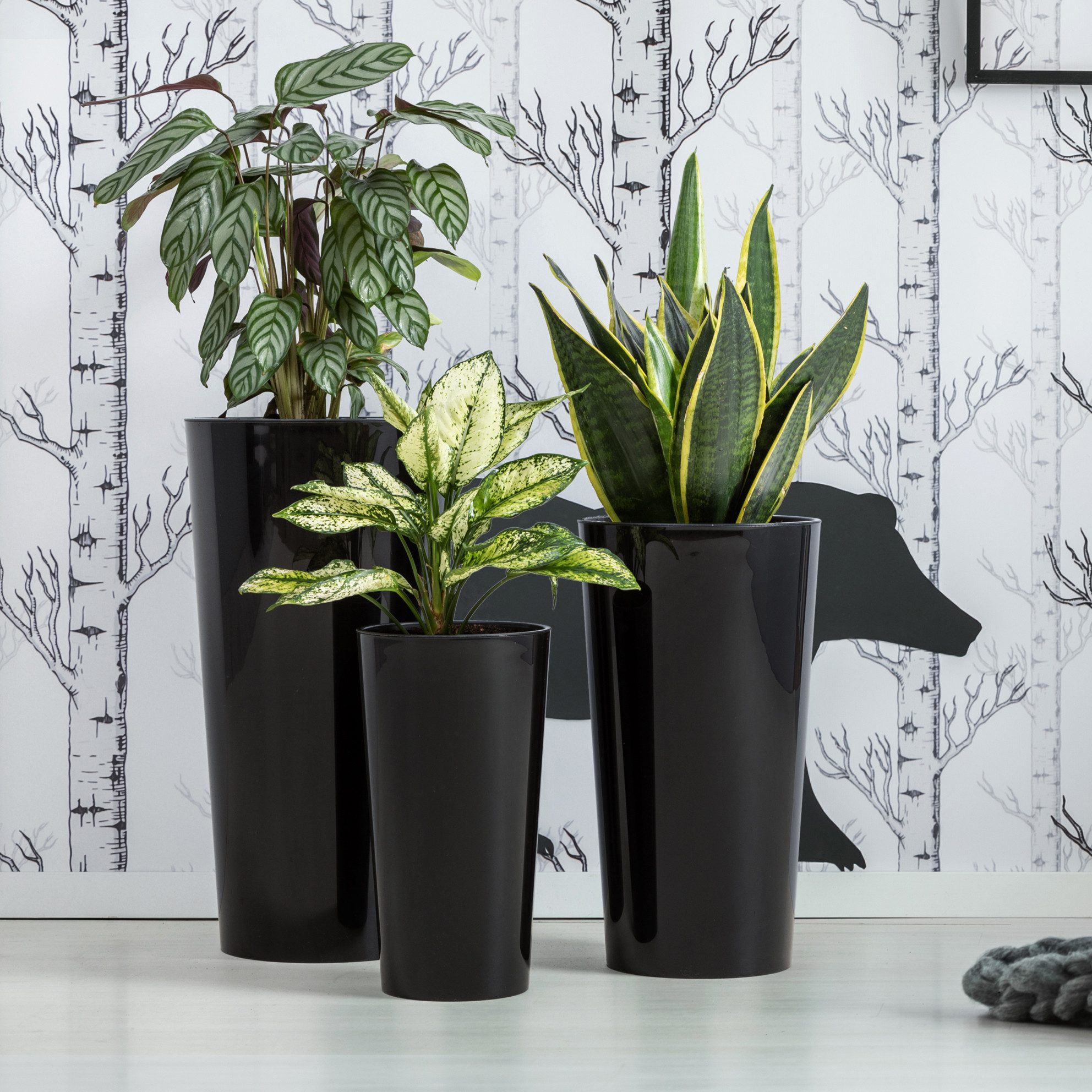 KAGM Pflanzkübel Blumentopf Blumenkübel in Hochglanz günstig online kaufen