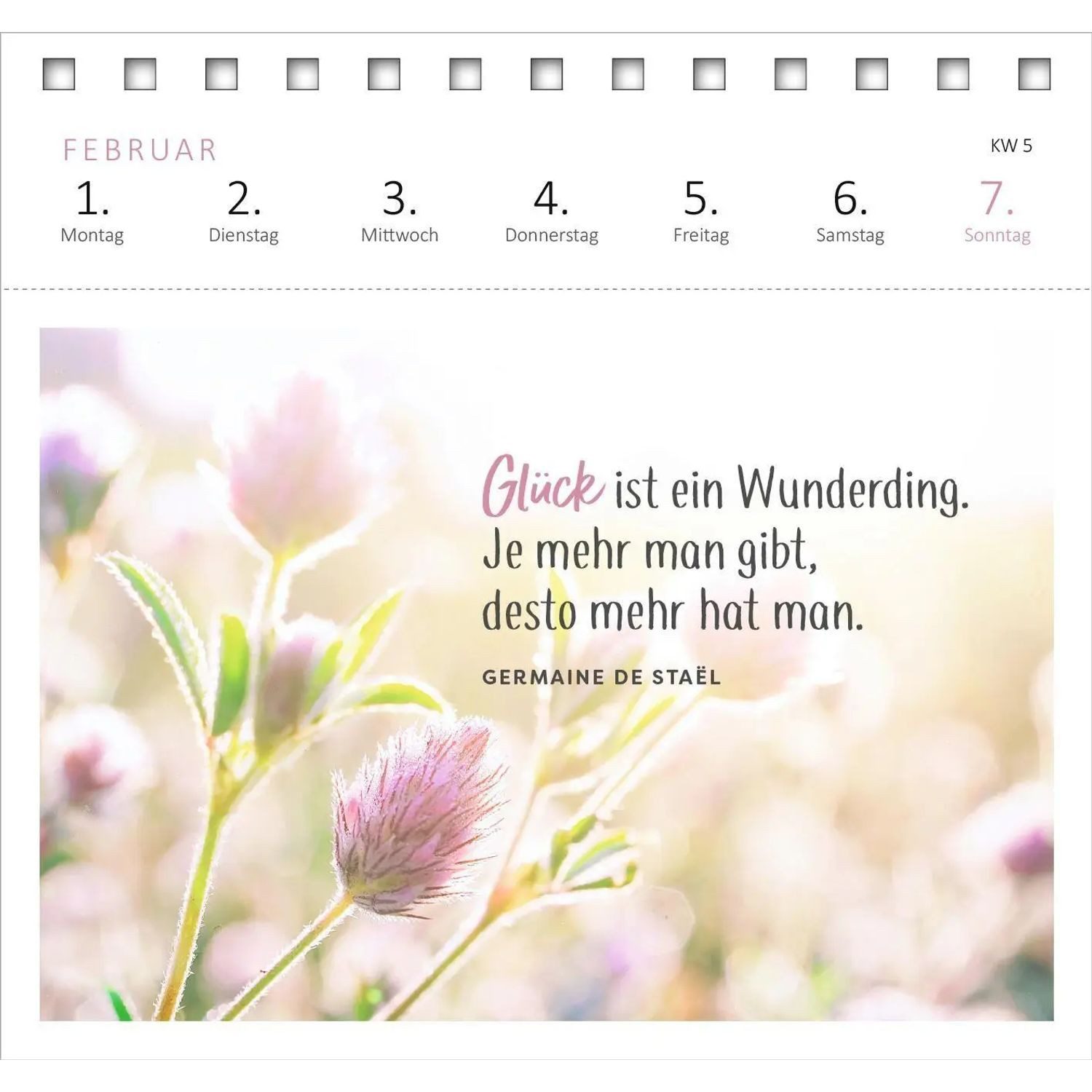 Ars Edition Abreißkalender Postkartenkalender Lebensweisheiten 2027