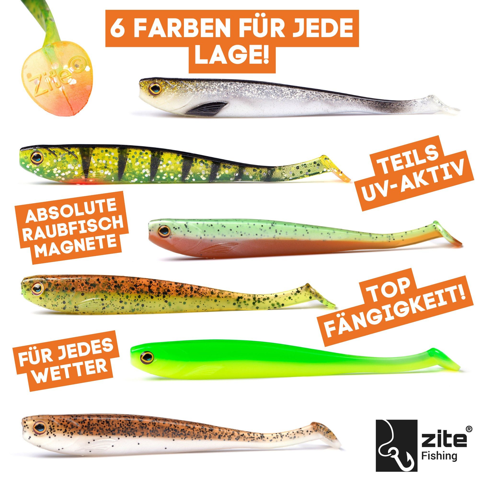 Zite Kunstköder Zander Gummifische Starterbox 24 Inzite Shads 6 Jighaken 24 Snaps, (55-St)