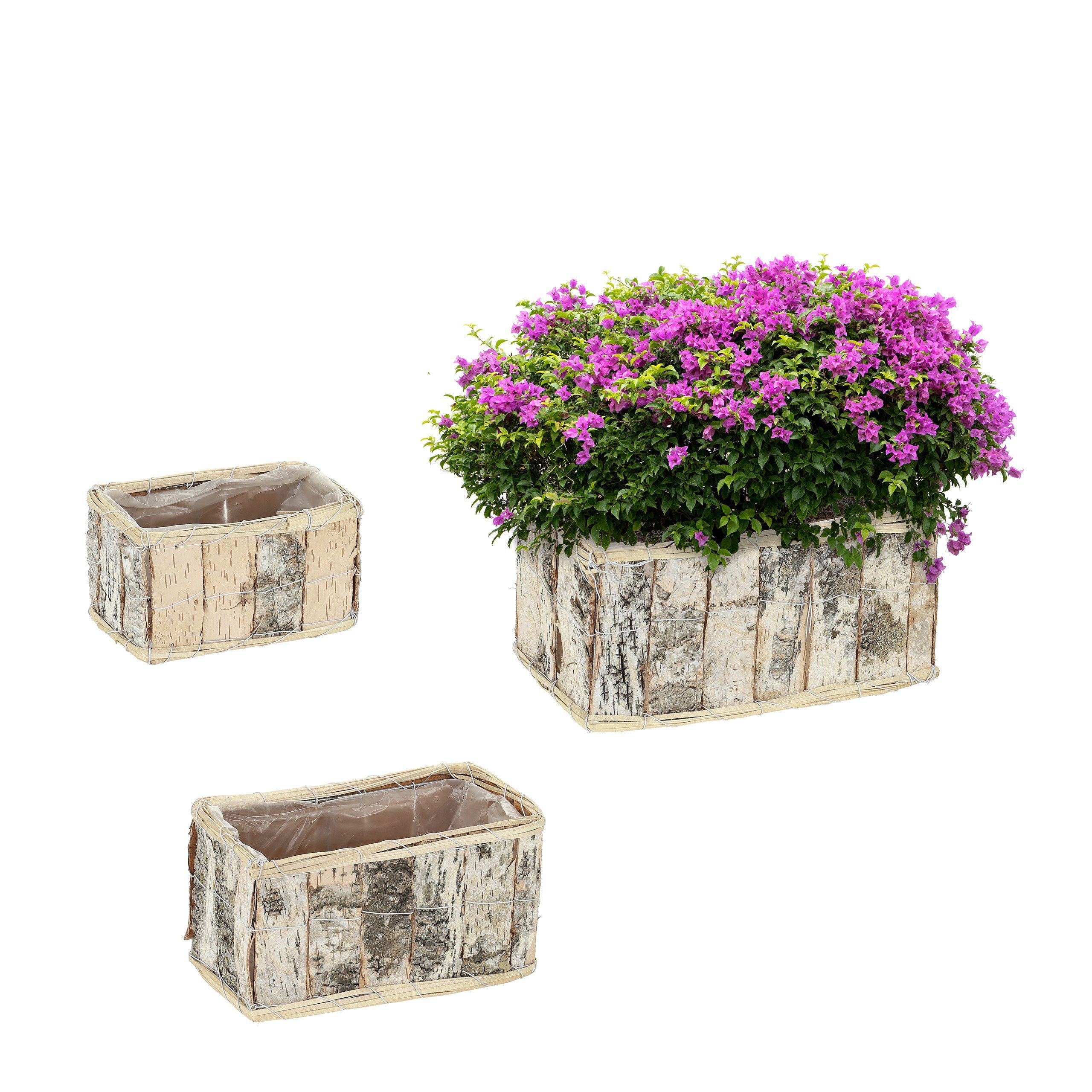 SAF Blumentopf-Set Mit UV-Druck, 3-teilig – Blumendesign, Größen: 15,2x34,9 Cm & 26,7x34,9 Cm