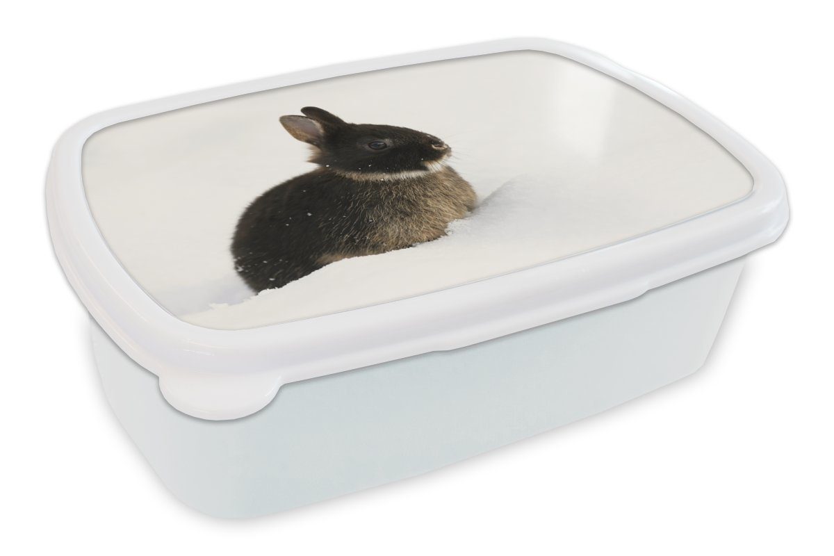 MuchoWow Lunchbox Kaninchen - Schnee - Winter, Kunststoff, (2-tlg), Brotbox für Kinder und Erwachsene, Brotdose, für Jungs und Mädchen weiß
