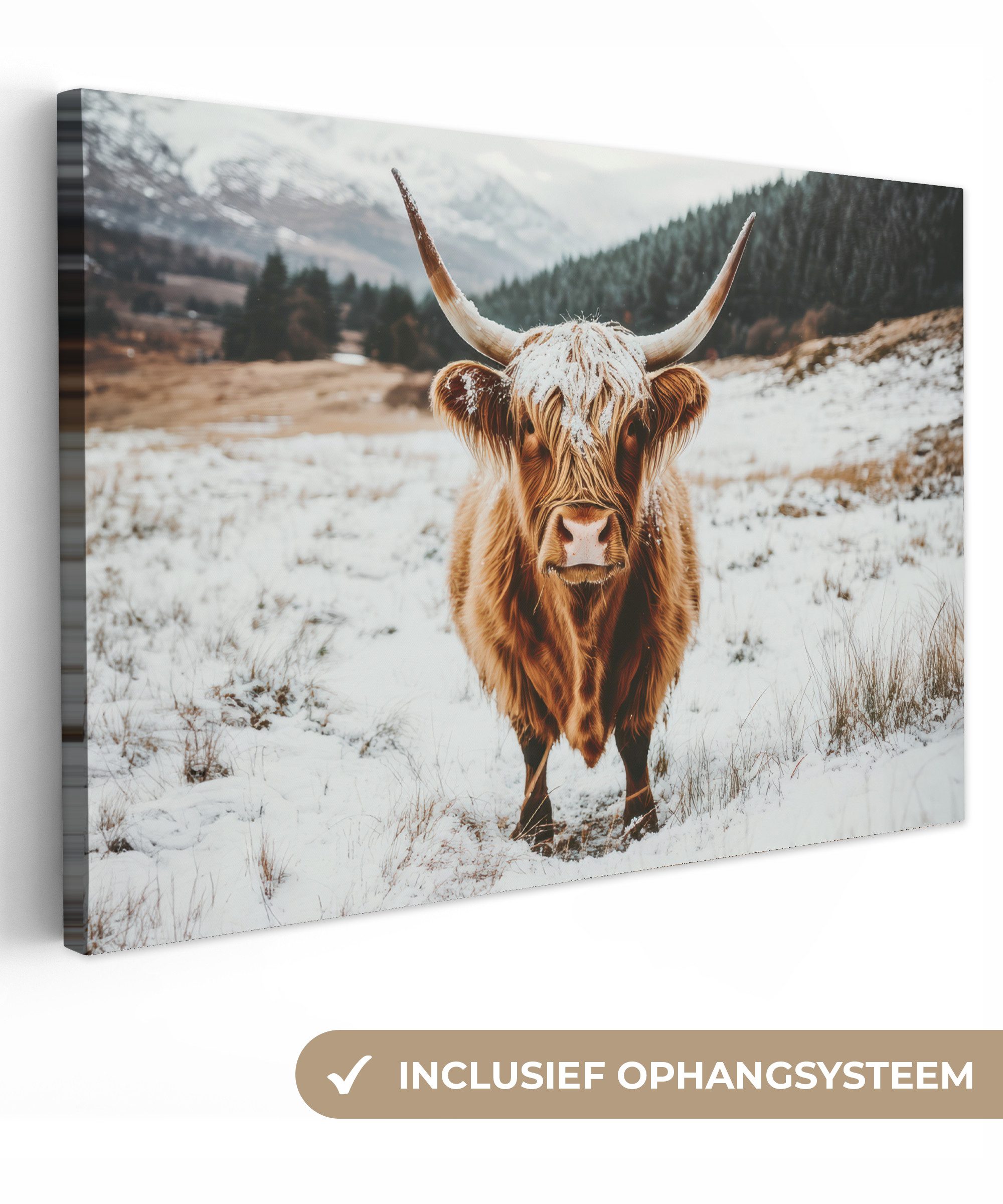 OneMillionCanvasses® Leinwandbild Schottische Highlander - Landschaft - Schnee - Berge - Winter, Fotodruck (1 St), Leinwand Bilder Klein, Wand Dekoration Aesthetic 30x20 cm