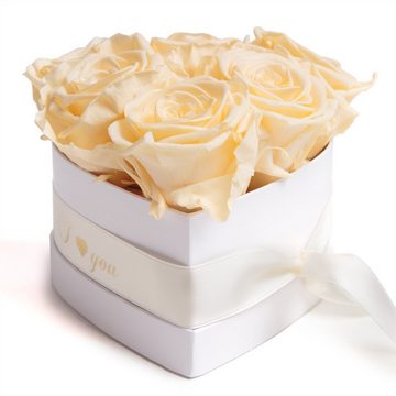 Kunstblume Infinity Rosenbox Herz 6 ewige Rosen I Love You Geschenk für Frauen Rose, ROSEMARIE SCHULZ Heidelberg, Höhe 10 cm, Valentinstag Geschenk für Frau