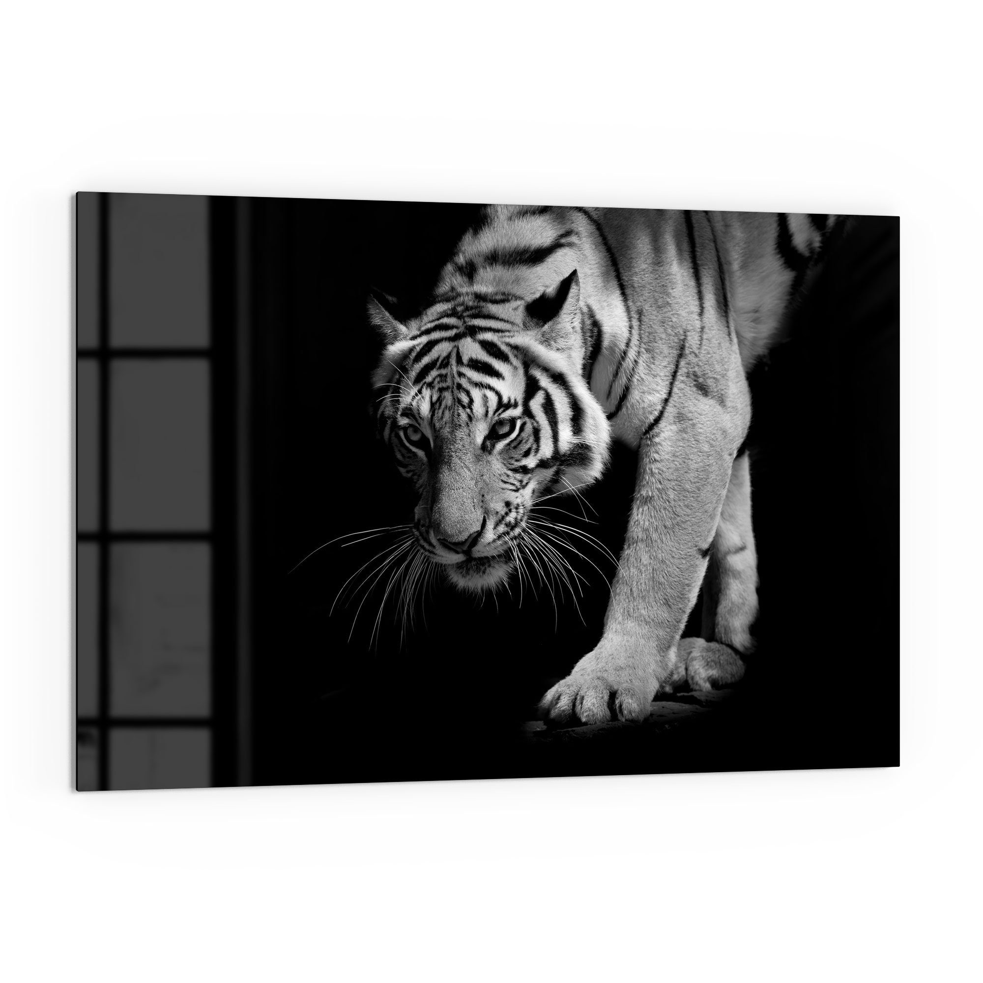 Spritzschutz Küchenrückwand DEQORI Glas Herdblende 'Pirschender Badrückwand Tiger',