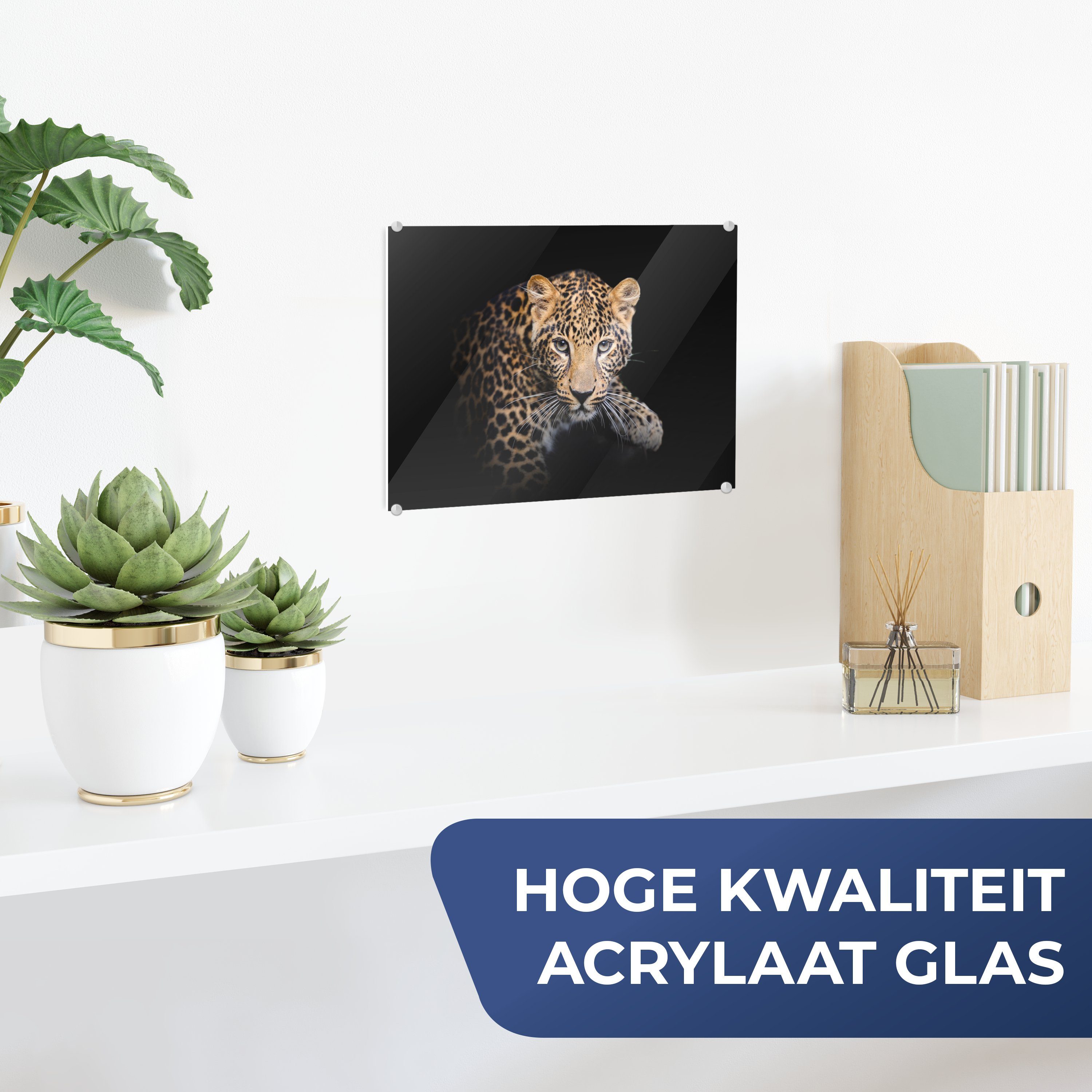 MuchoWow Acrylglasbild Panther - Schwarz - günstig online kaufen