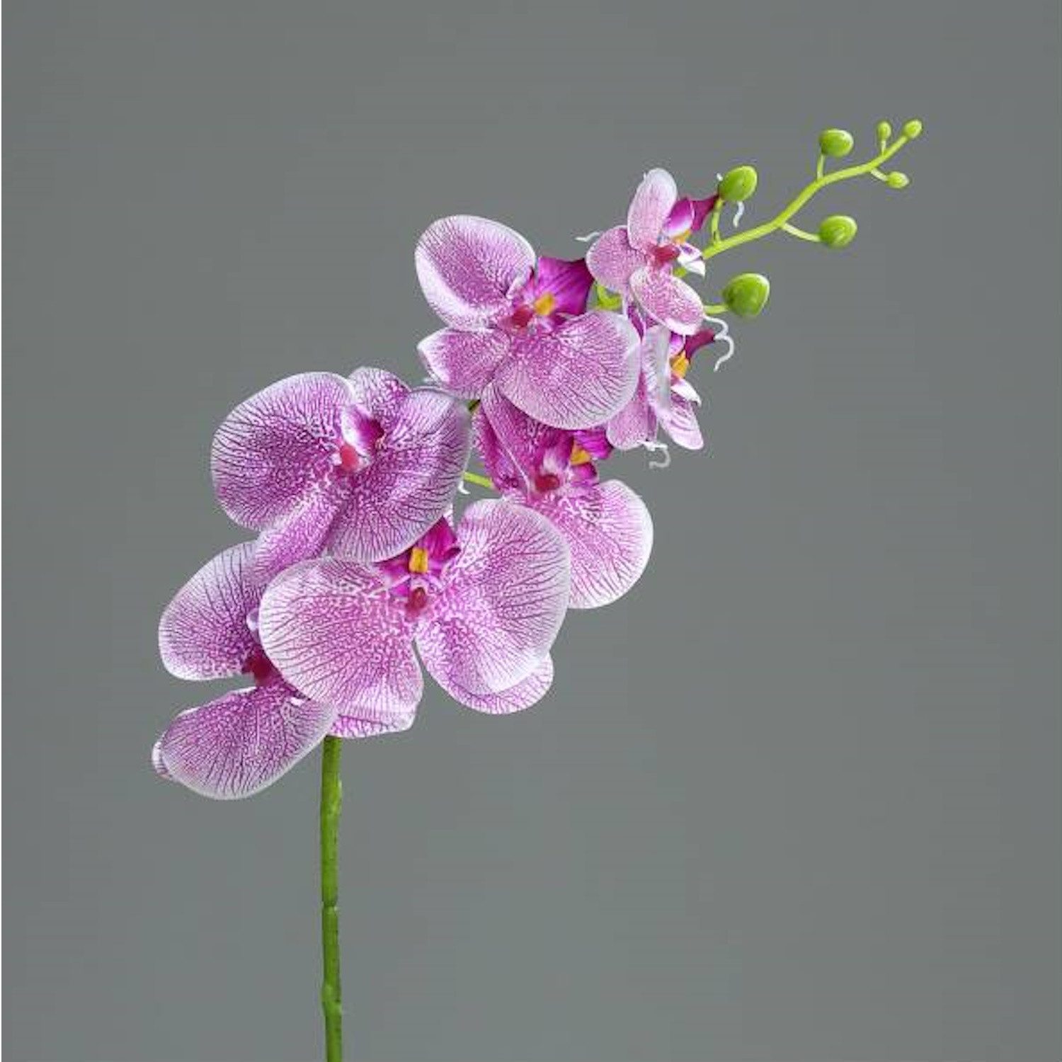 Kunstblume Orchidee, DPI, Höhe 83 cm, Farbe: Mehrfarbig