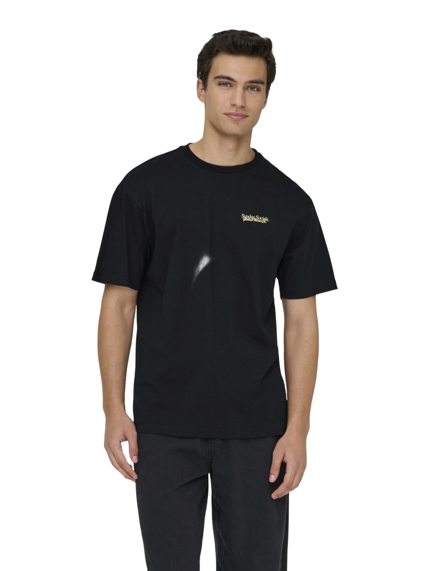 ONLY & SONS Kurzarmshirt 2026-2 SPRING