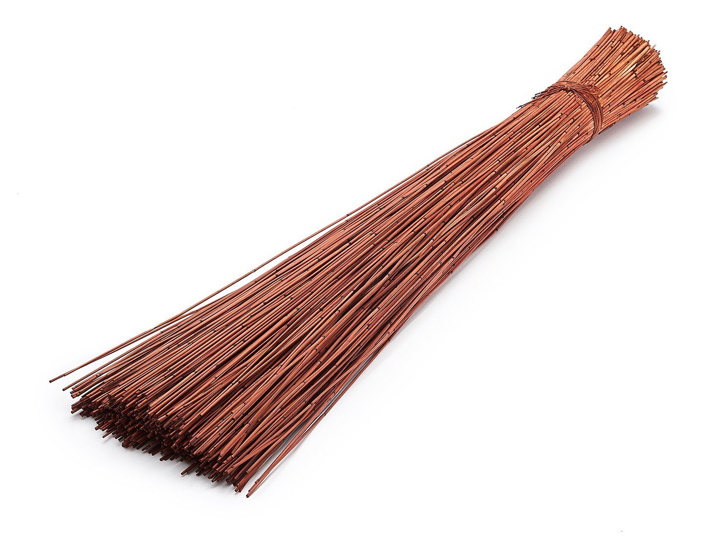 Trockenblume Vleireed Braun 75cm 1kg Restio günstig online kaufen