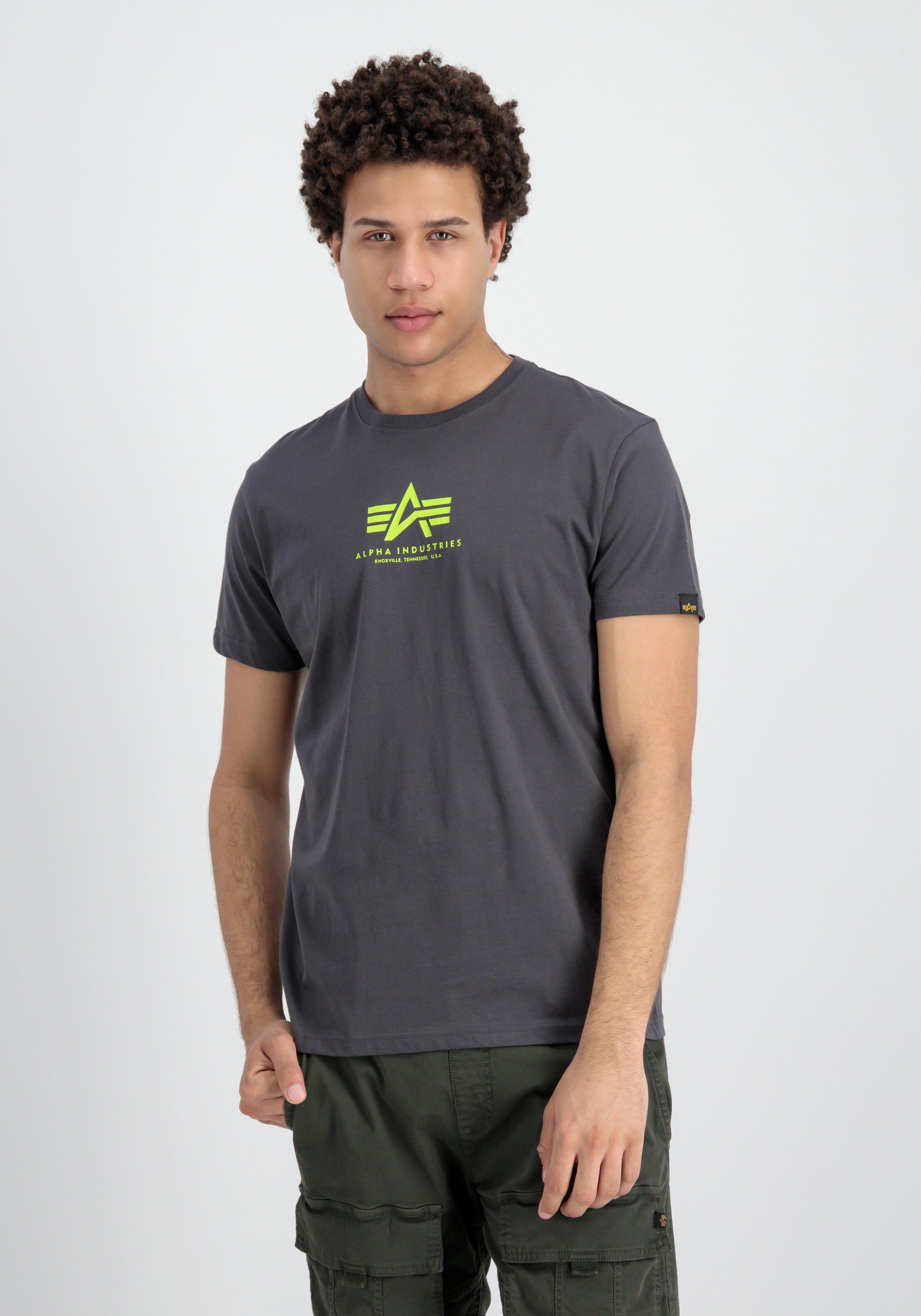 Alpha Industries T-Shirt Alpha vintage Men T - grey T-Shirts ML Basic Industries