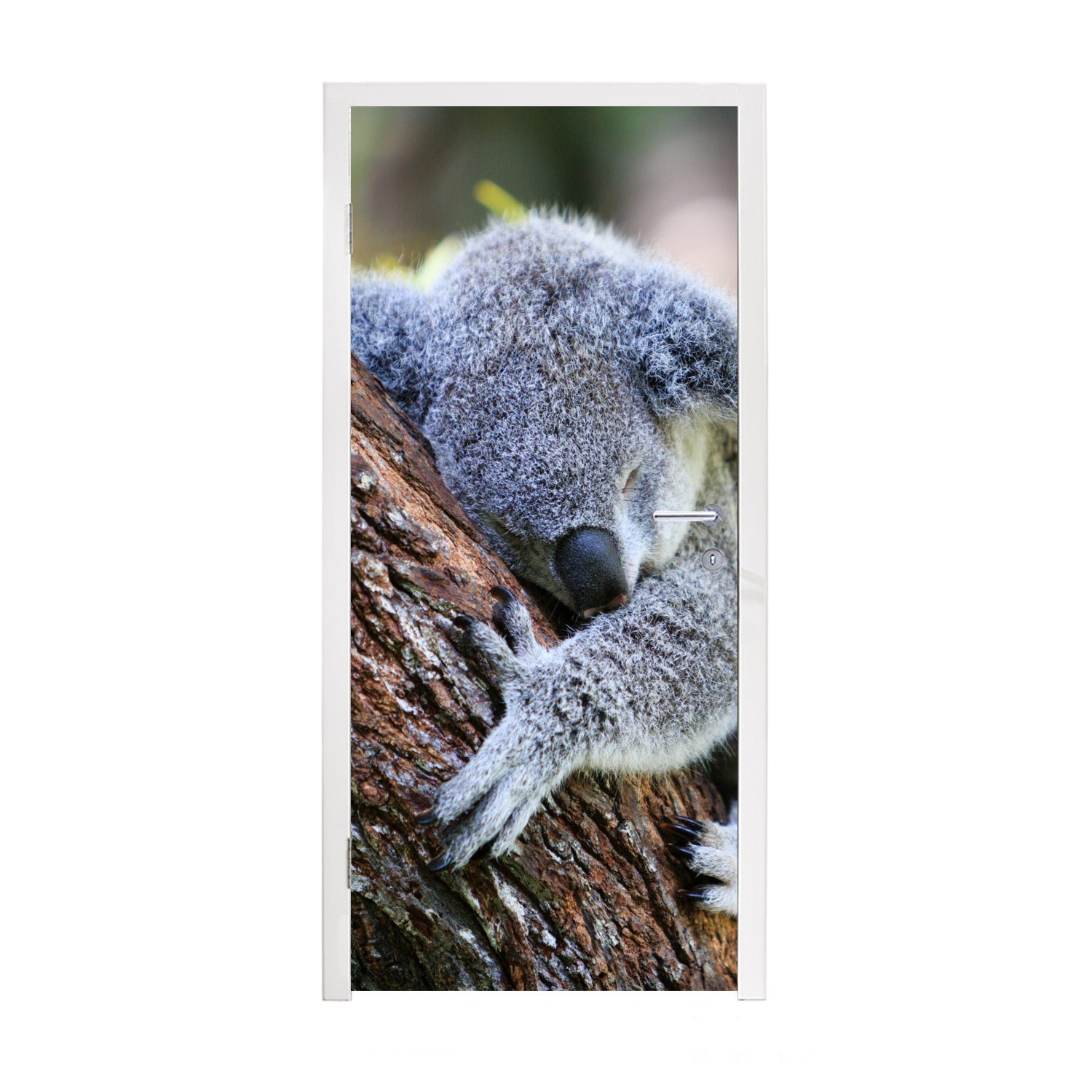 - Mädchen, Baum MuchoWow - Türaufkleber, - Tür, 75x205 Schlaf Kinder Jungen cm Fototapete Koala (1 - Türtapete bedruckt, St), für Matt, -