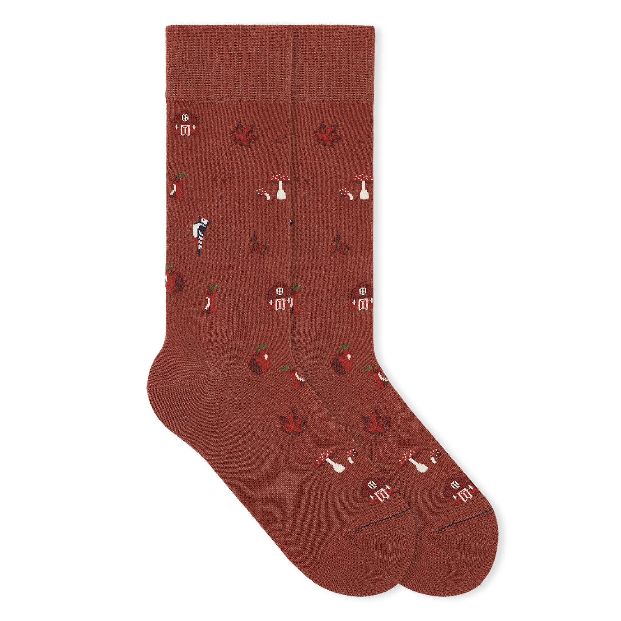 Socken Herbst ICONS Bio-Baumwolle 35-46 Unisex