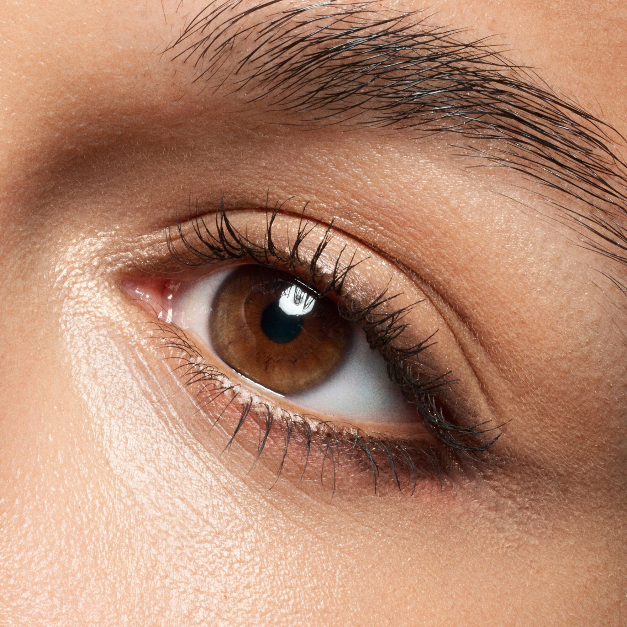 3-tlg. Augenbrauen-Gel Clear Fix Brow & Gel Catrice Mascara, Transparent