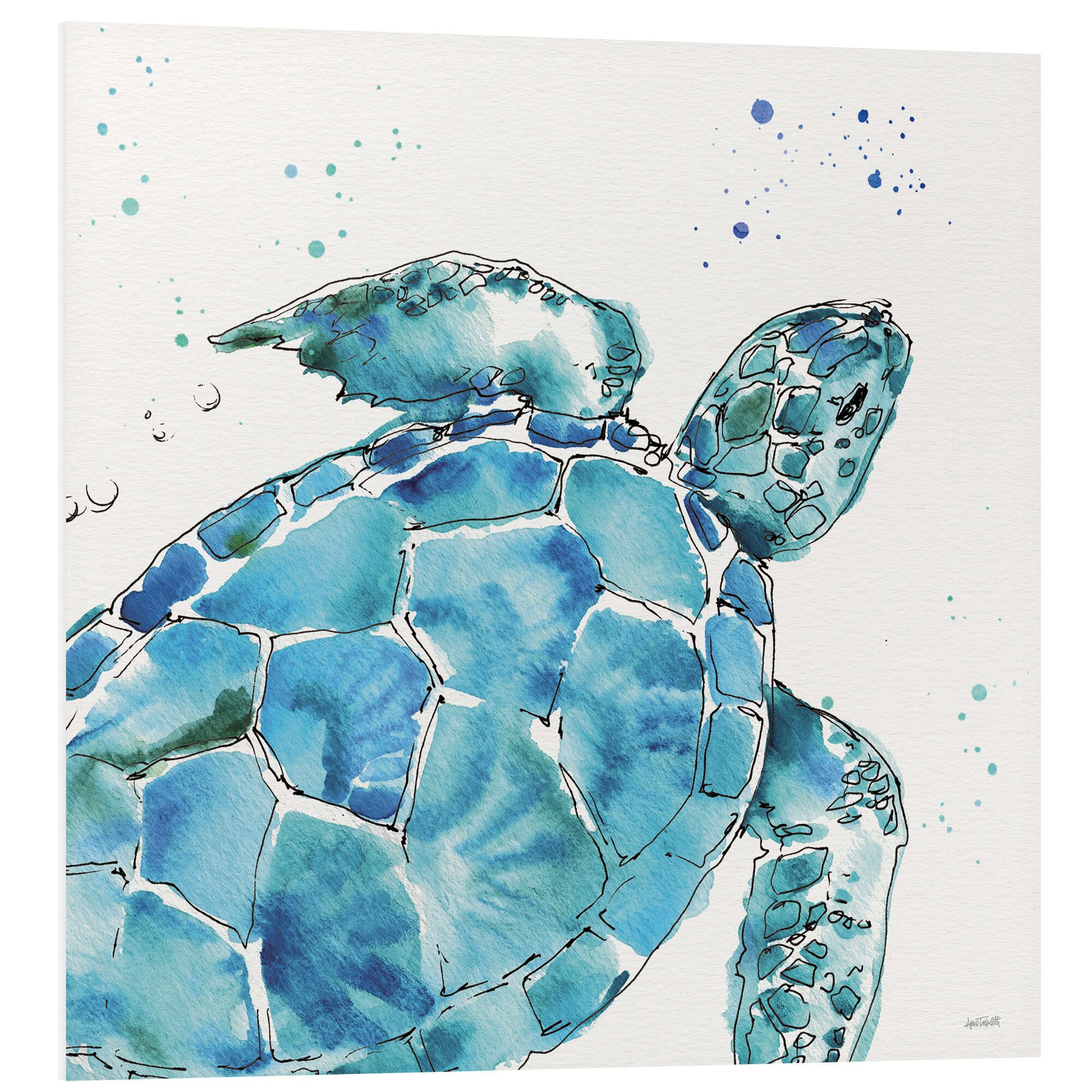 Posterlounge Wandbild Schildkröte IX, Anne Tavoletti, erhältlich als Poster, Leinwandbild, Wandsticker oder Acrylglasbild