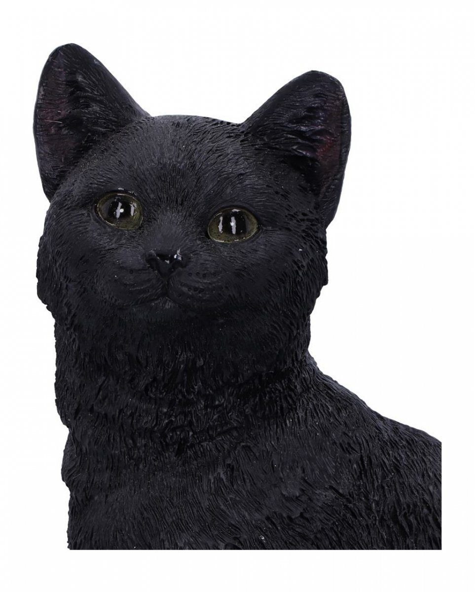 Dekofigur Horror-Shop antikem Totenschädel Katze 24,3 Figur Schwarze auf
