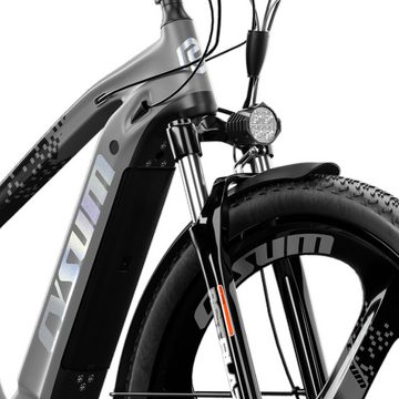 DOTMALL E-Bike 29 Zoll MTB Cysum Ebike Speedy One Integriertes Rad 48v 500w 10ah