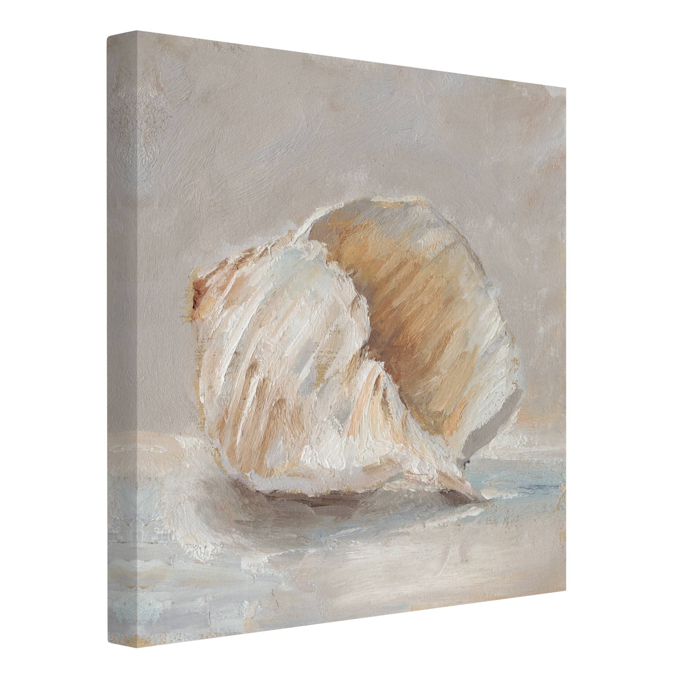 Bilderdepot24 Leinwandbild Meer Maritim Strand Muschel-Studie günstig online kaufen