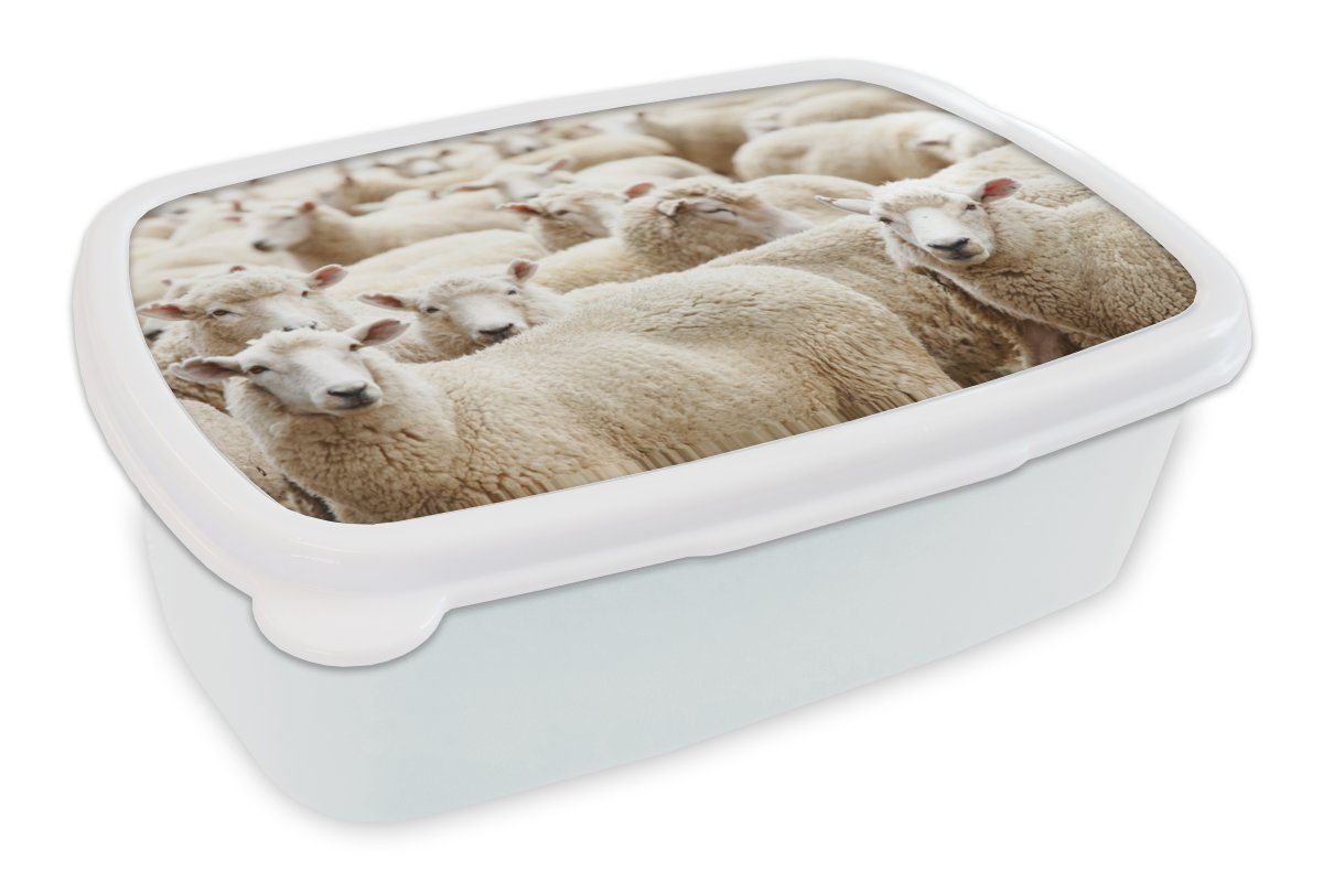 Weiß, und (2-tlg), Brotbox - Lunchbox Mädchen und Erwachsene, MuchoWow Brotdose, für Jungs - Wolle für Kunststoff, Kinder Schafe