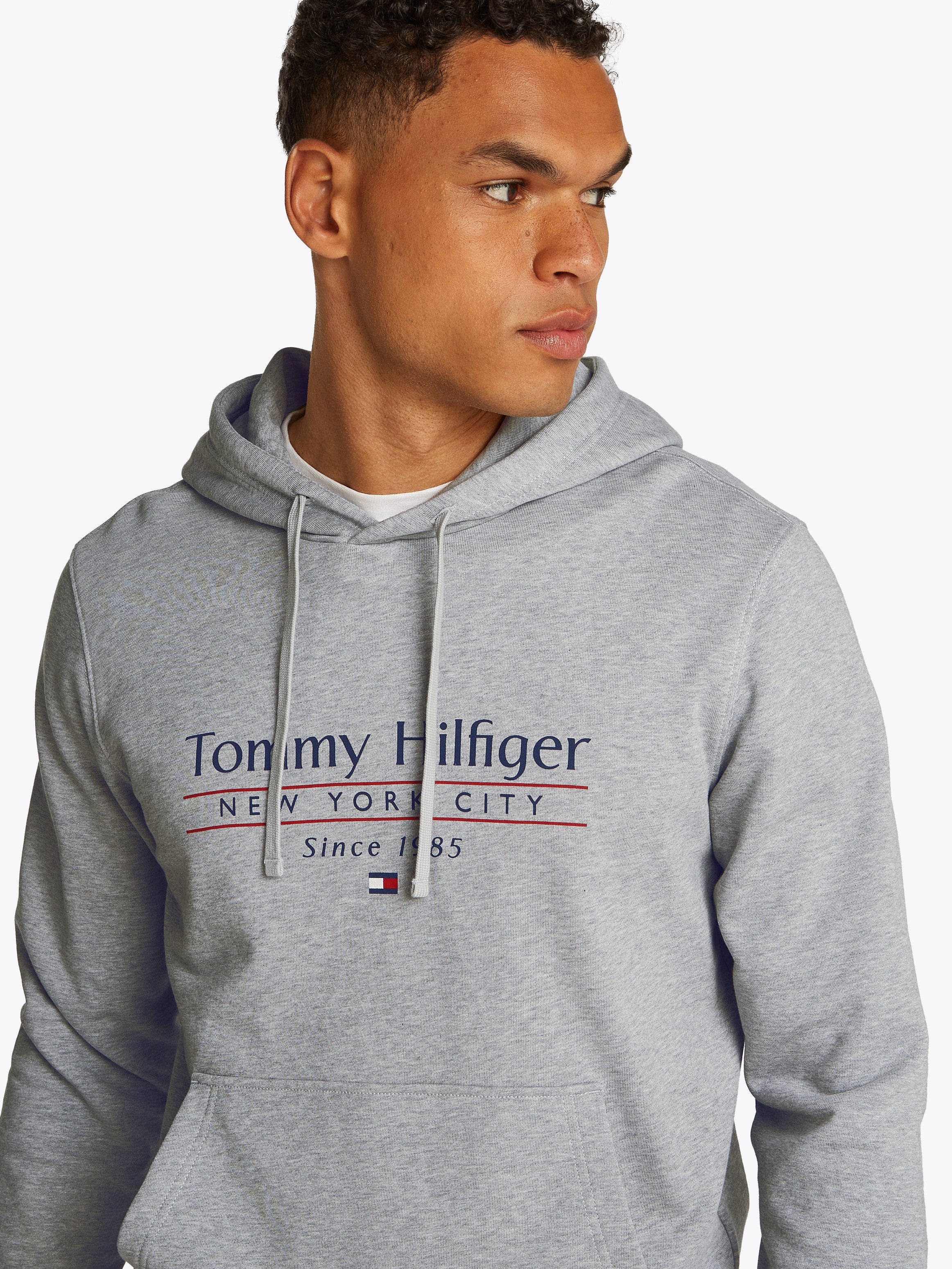 Tommy Hilfiger Hoodie HILFIGER CENTER STACK günstig online kaufen