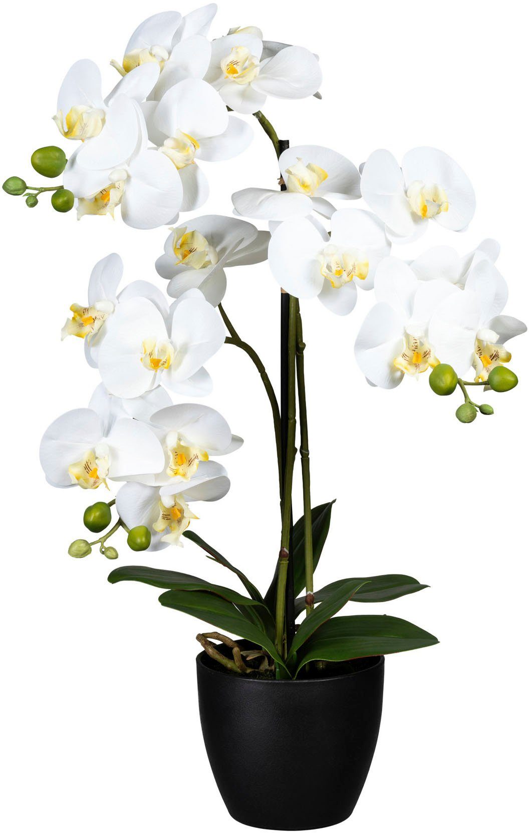 Kunstorchideen online kaufen » künstliche Orchideen | OTTO