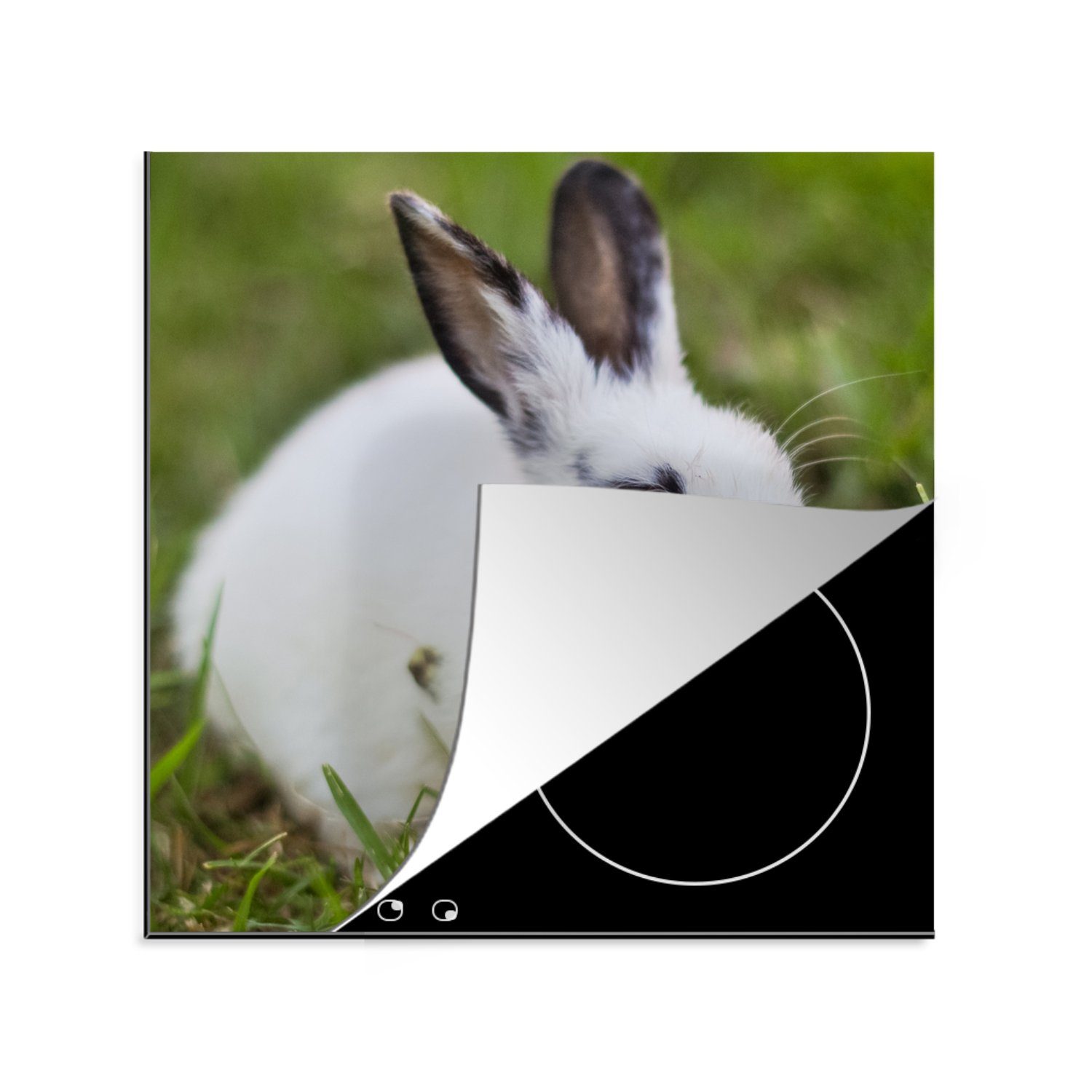 MuchoWow Herdblende-/Abdeckplatte Kaninchen - Baby - Gras - Weiß, Vinyl, (1 tlg), 78x78 cm, Ceranfeldabdeckung, Arbeitsplatte für küche