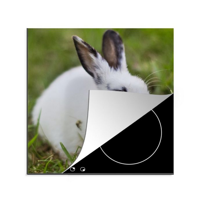 MuchoWow Herdblende-/Abdeckplatte Kaninchen - Baby - Gras - Weiß Vinyl (1 tlg) Ceranfeldabdeckung Arbeitsplatte für küche