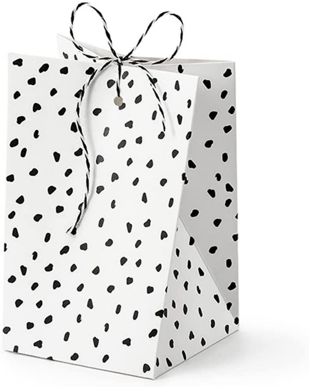 partydeco Pompon 6 Geschenkboxen DINOSAUR mit Band, weiß & schwarz