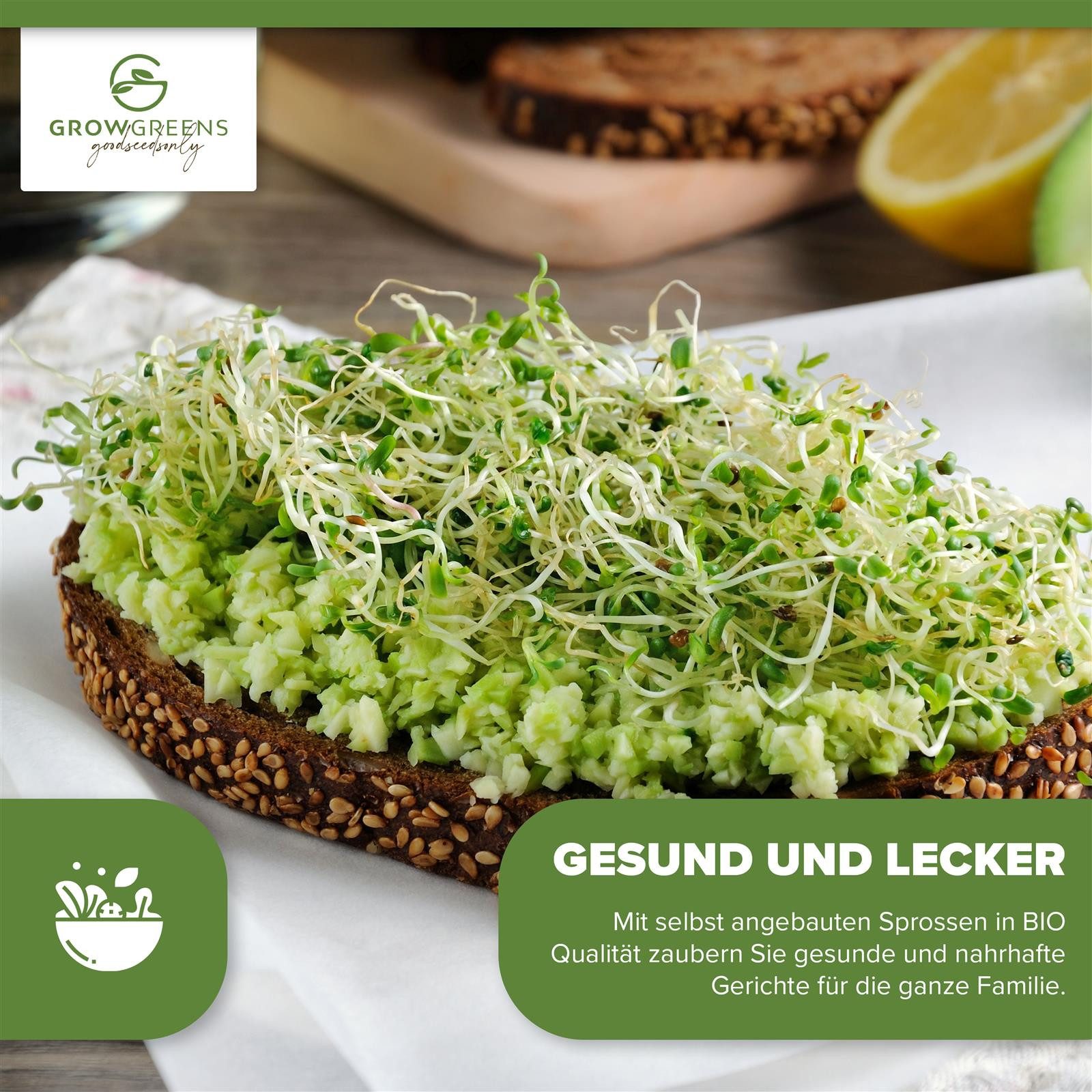 Growgreens Gemüsesamen BIO Alfalfa Sprossen Samen (50g) - Microgreens Saatgut