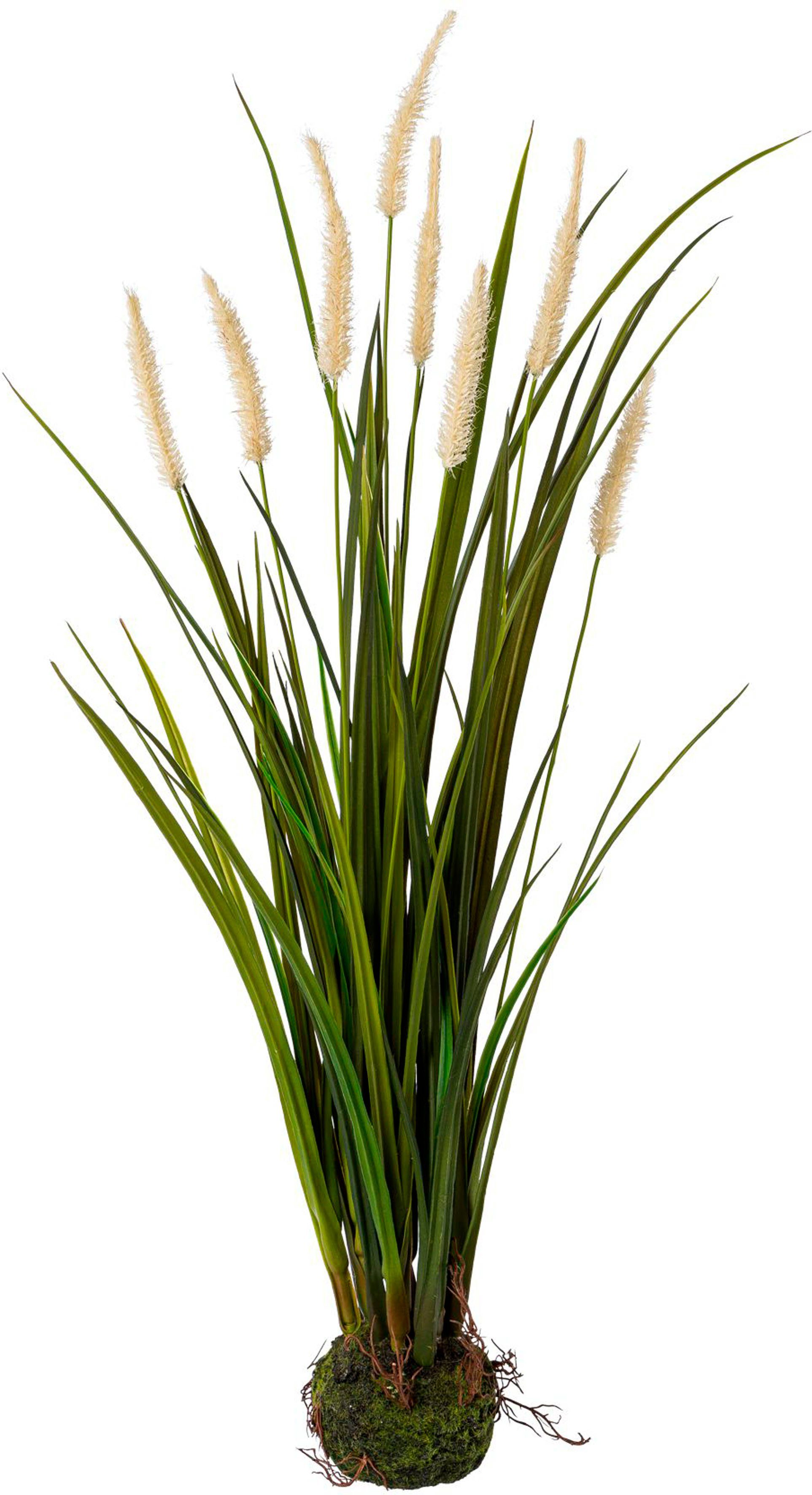 Kunstgras Miscanthus im Erdballen, Creativ green, Höhe 75 cm günstig online kaufen