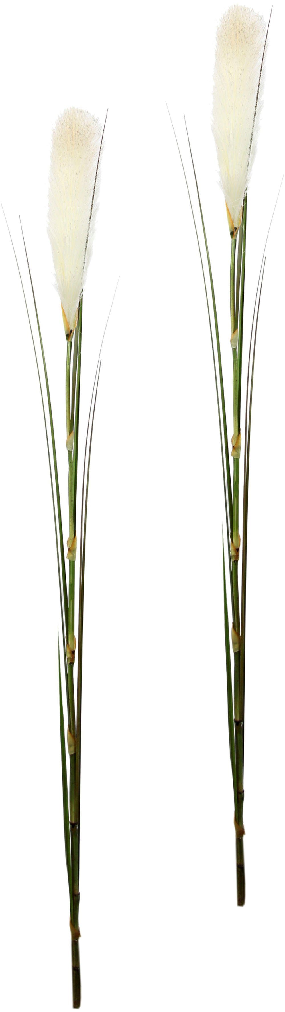 Kunstpflanze Pampas, I.GE.A., Höhe 125 cm, Pampasgras, Boho, 2er Set günstig online kaufen